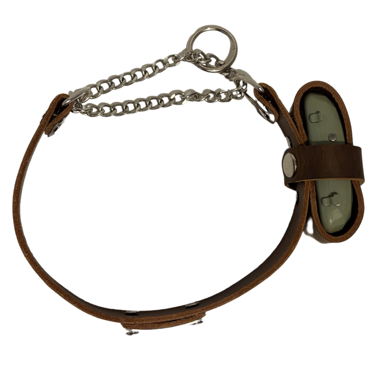Brown leather martingale dog collar 3.png