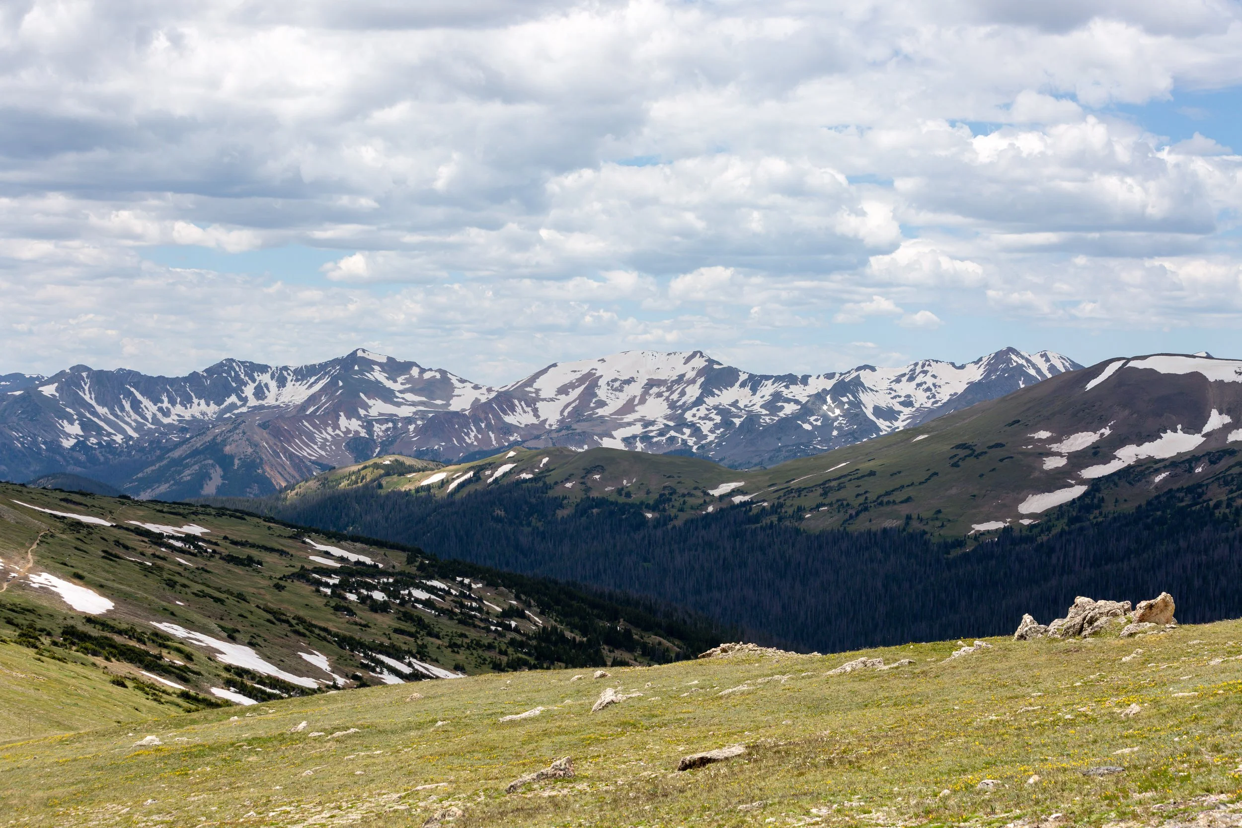 _R1A9367.jpg
