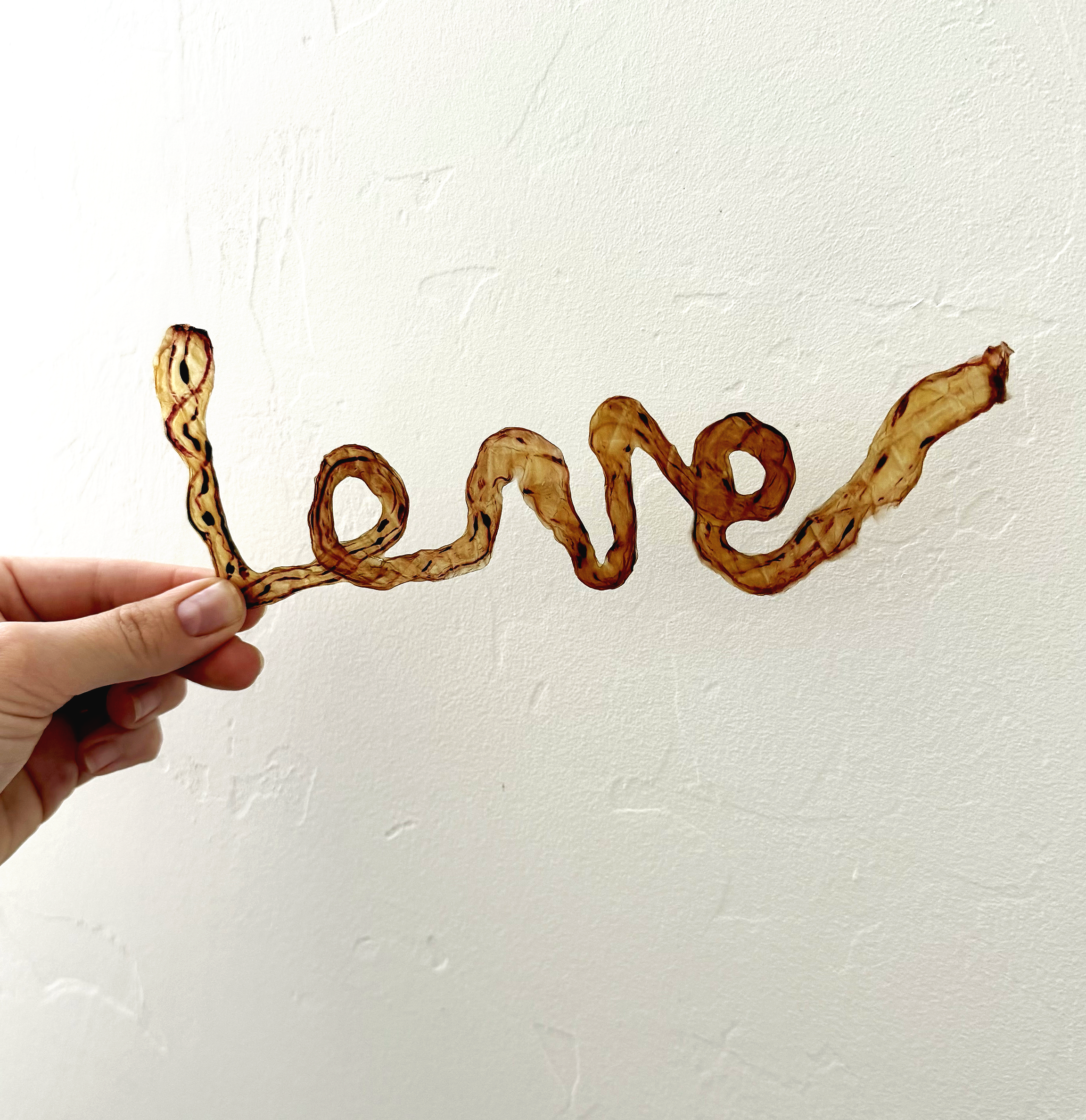 Birth and Bloom Tucson Placenta Encapsulation business card beside them. placenta pills, placenta encapsulation Tucson, AZ, Tucson, Tucson Arizona, umbilical cord keepsake, umbilical cord keepsake Tucson, placenta art Tucson 