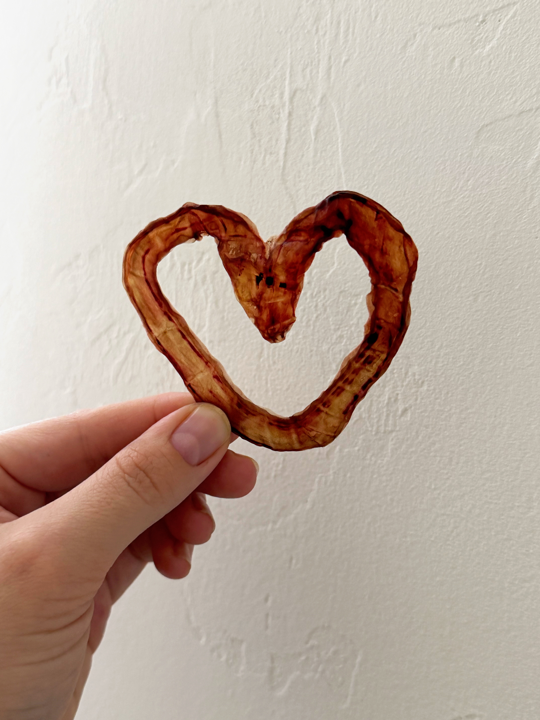 Birth and Bloom Tucson Placenta Encapsulation business card beside them. placenta pills, placenta encapsulation Tucson, AZ, Tucson, Tucson Arizona, umbilical cord keepsake, umbilical cord keepsake Tucson, placenta art Tucson 