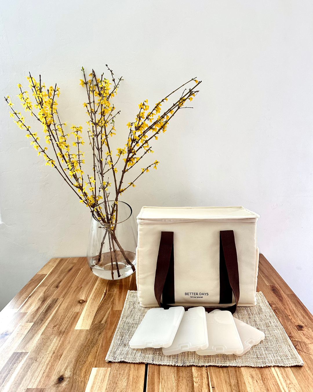 Birth and Bloom Placenta encapsulation, placenta capsules, placenta consumption, Tucson AZ, Tucson Arizona, cooler and ice packs