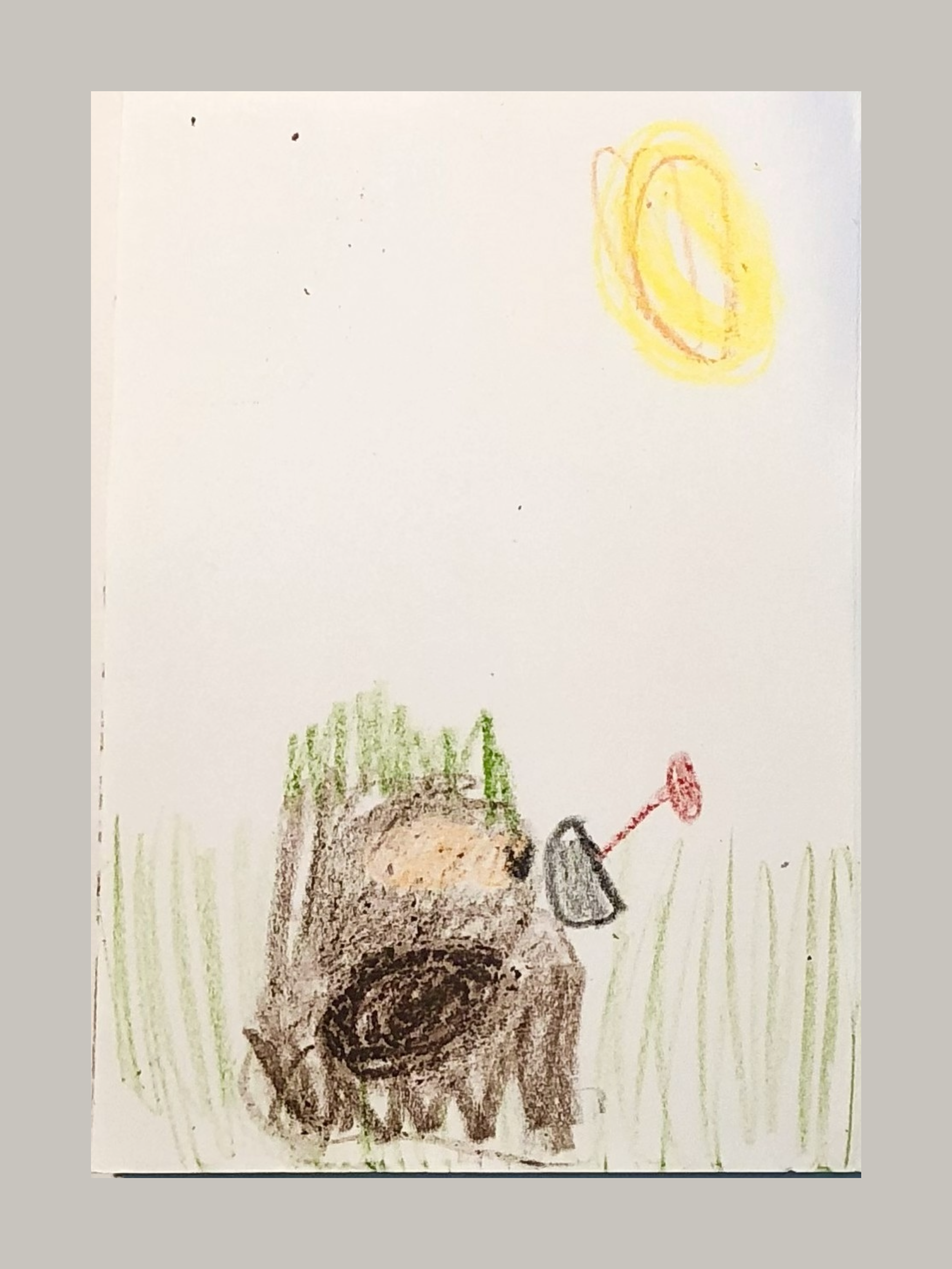 Curtis & Co ginger beer bottle-5.png