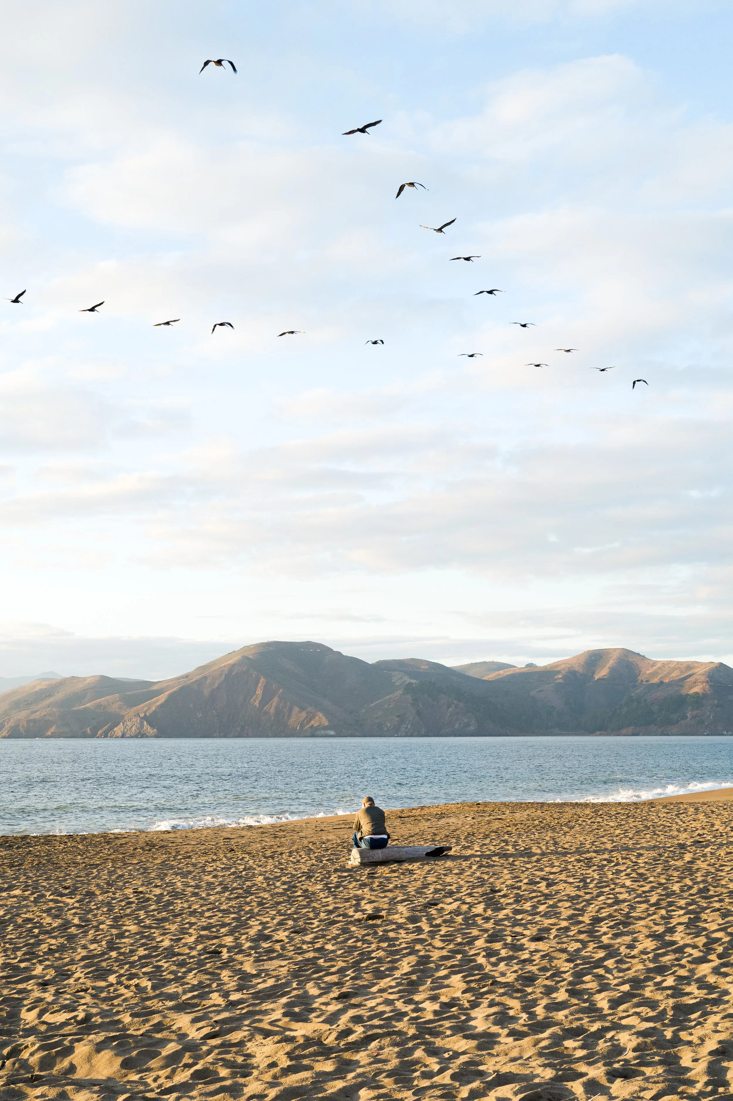 A person sitting on a beach facing the water, with mountains in the background and seagulls flying in the sky.