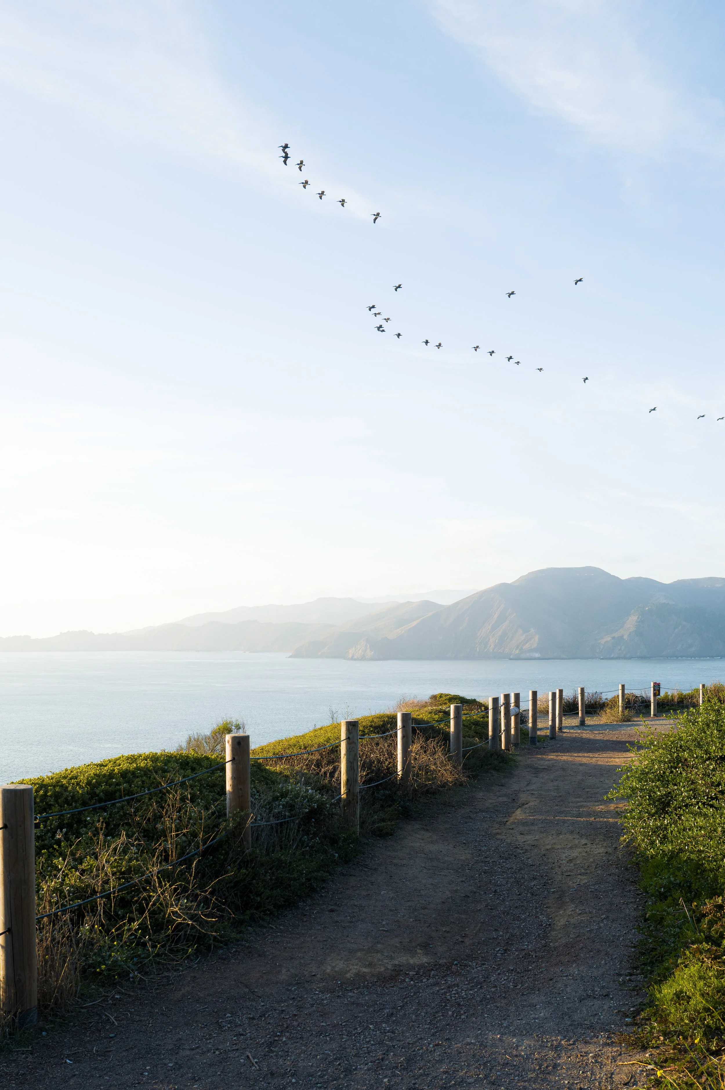 A dirt pathway along a railing overlooking a large body of water with mountains in the background. Several birds fly in the sky.