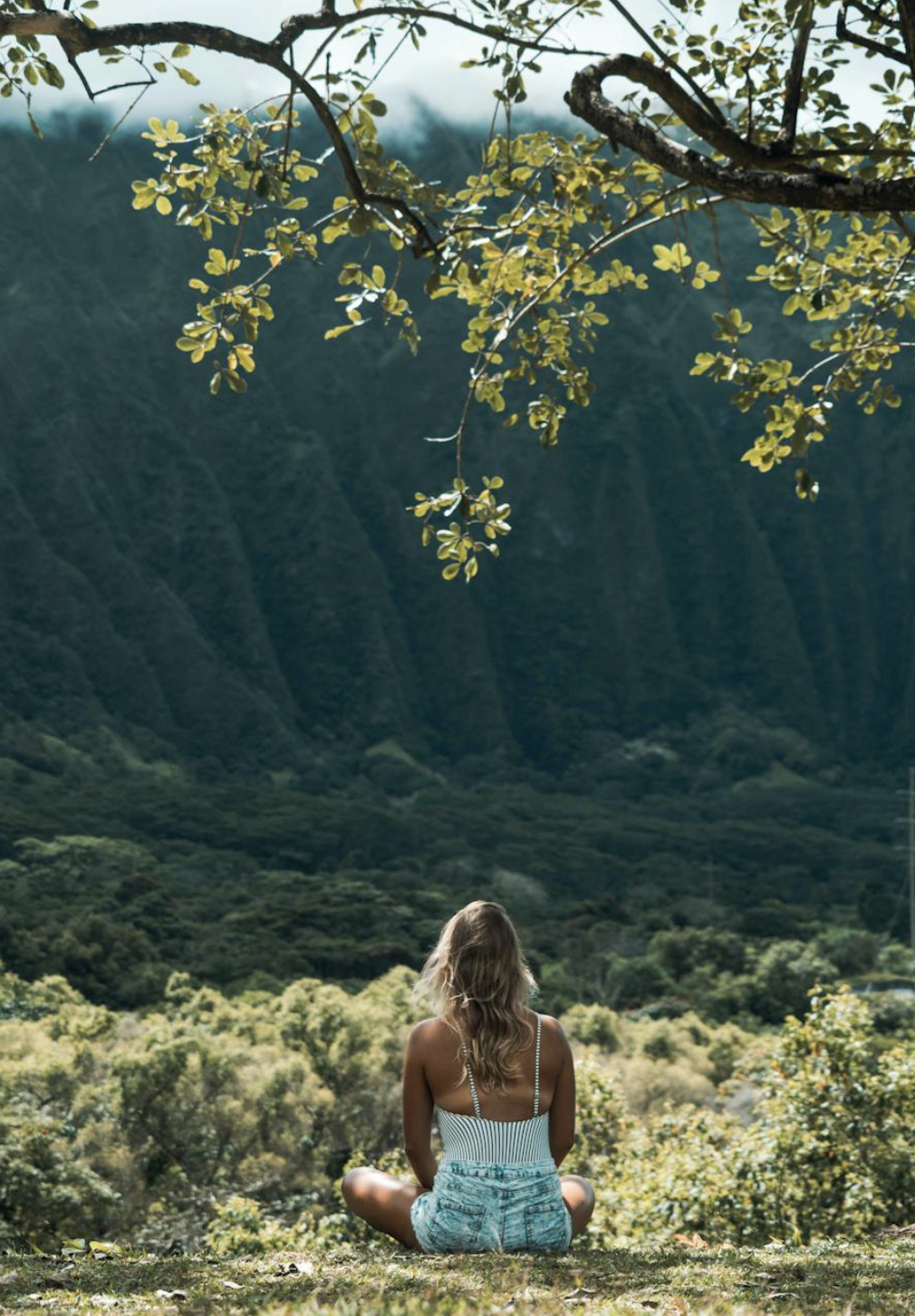 A woman sitting cross-legged on grass, overlooking a lush green valley with mountains in the background, under a tree with branches and leaves.