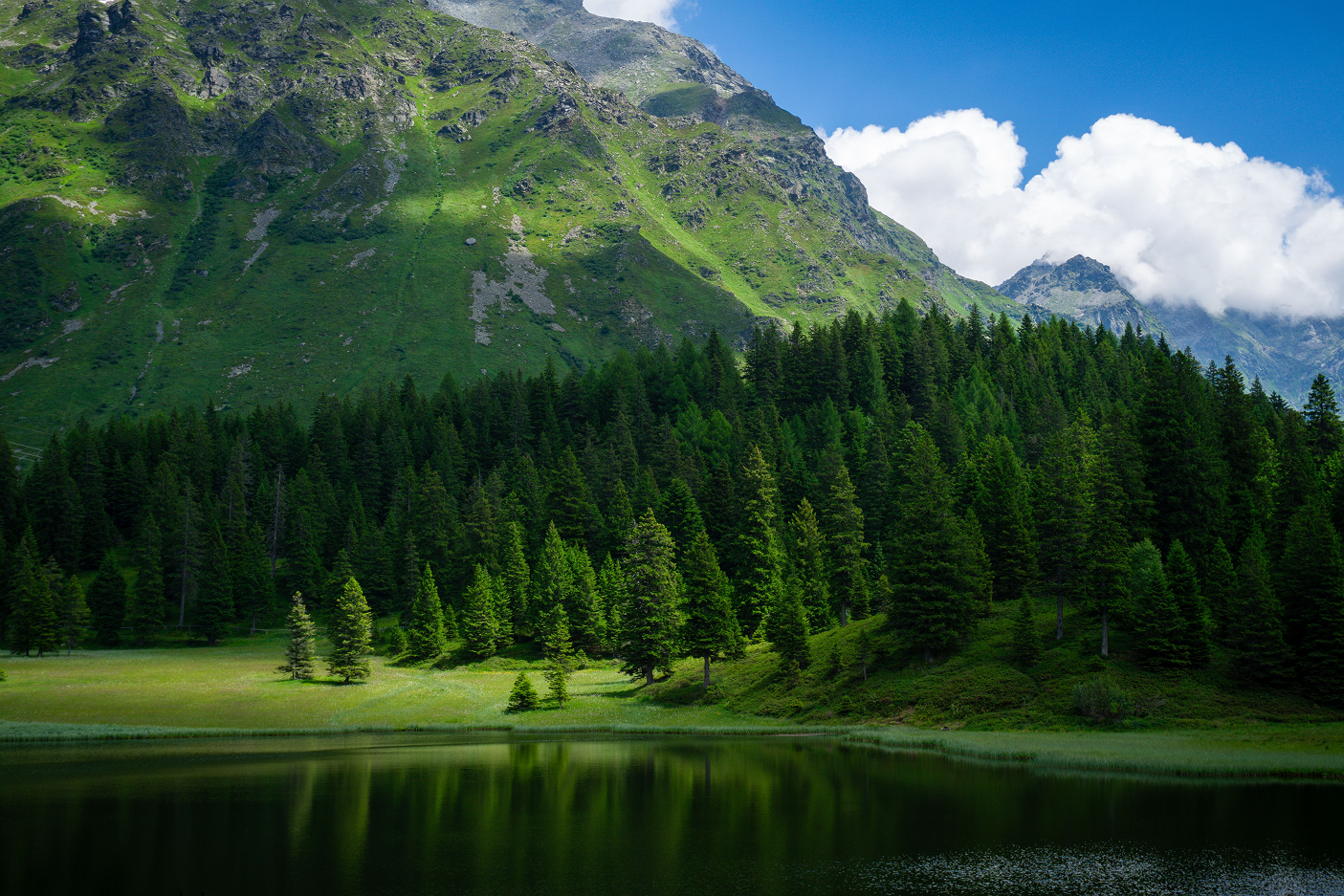 Scenic view of a green forest with mountains and a lake in the foreground under a partly cloudy sky.