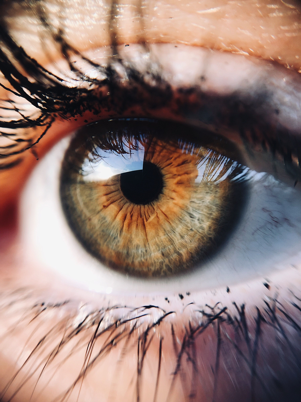 Close-up of a human eye showing the iris, pupil, eyelashes, and surrounding skin.
