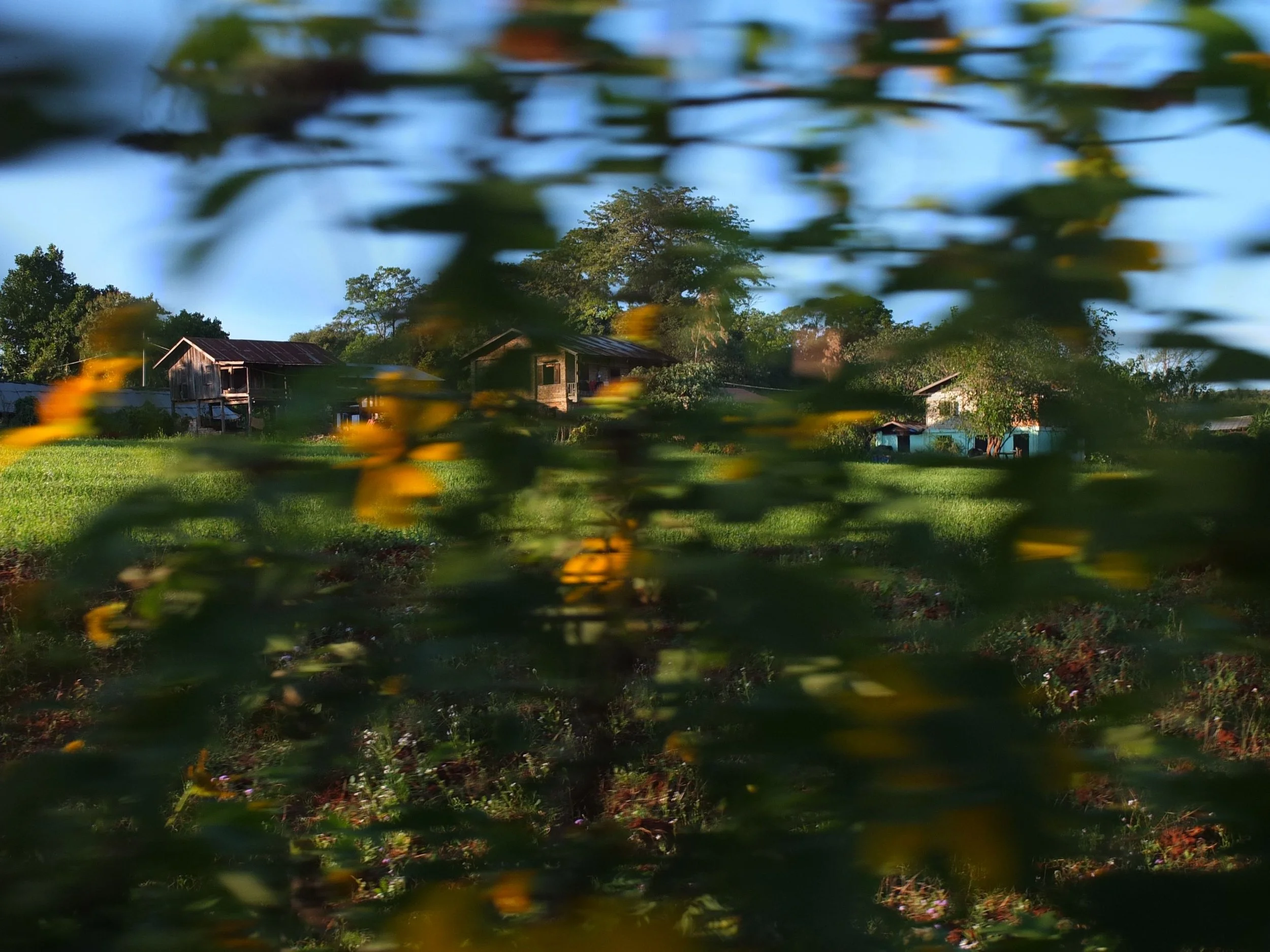 View of a rural area with a few houses surrounded by trees and greenery, with the image slightly blurred and taken from a distance.
