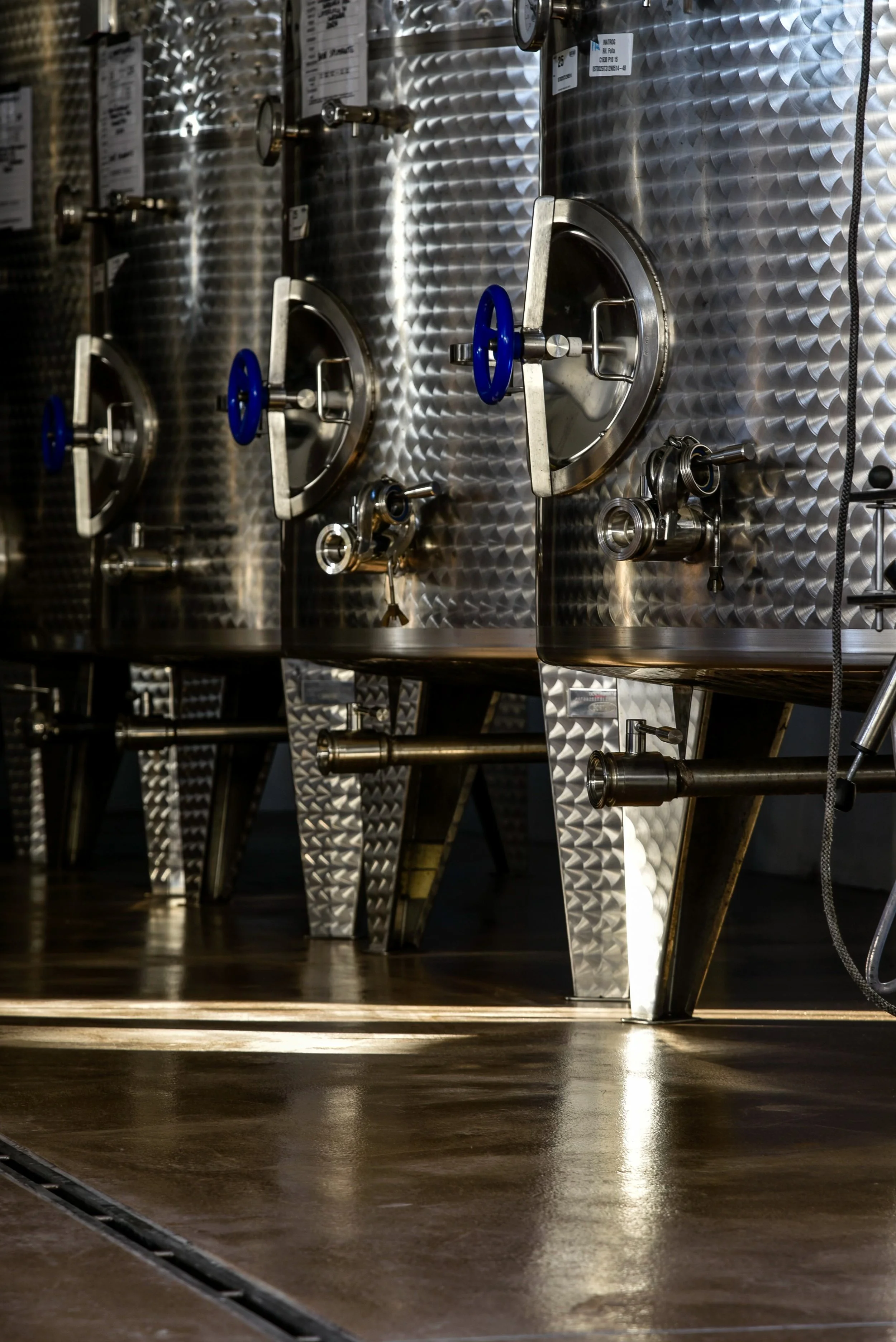 Serbatoi di acciaio inossidabile presso Cantina Martinelli Carpi