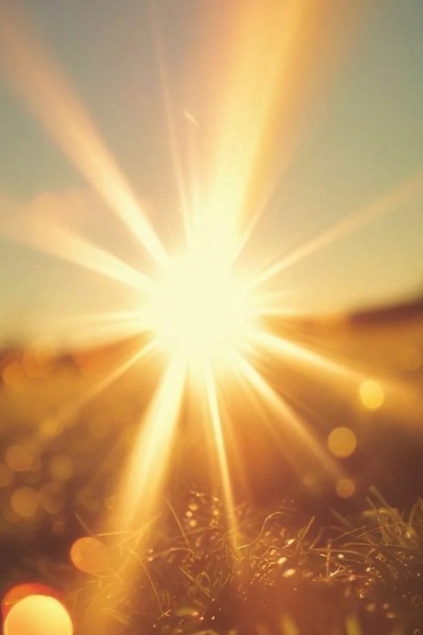 Sunset over a field with bright sunlight and lens flare.