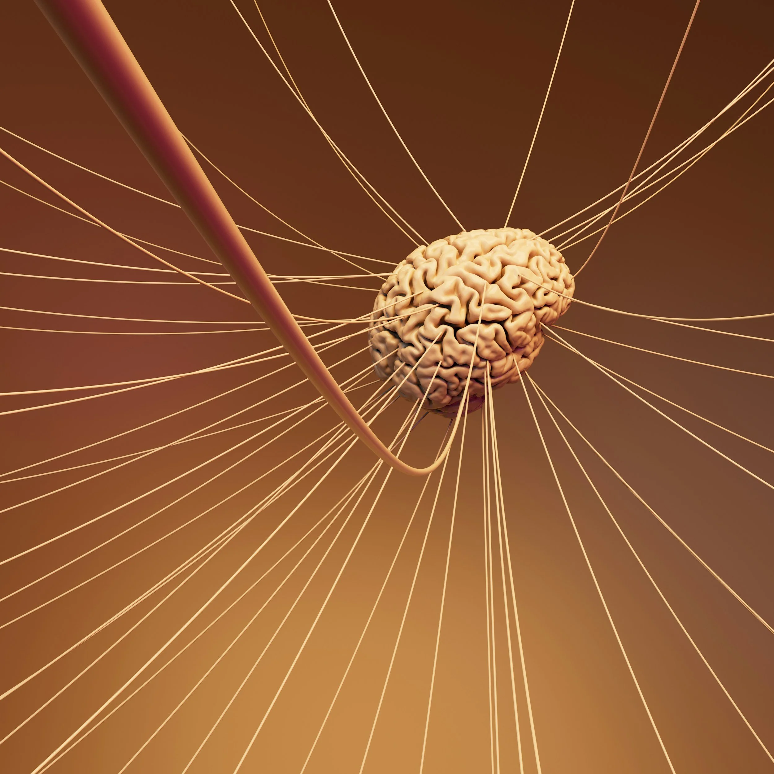 A computer-generated image of a brain connected to numerous nerve-like wires, with a needle approaching it.