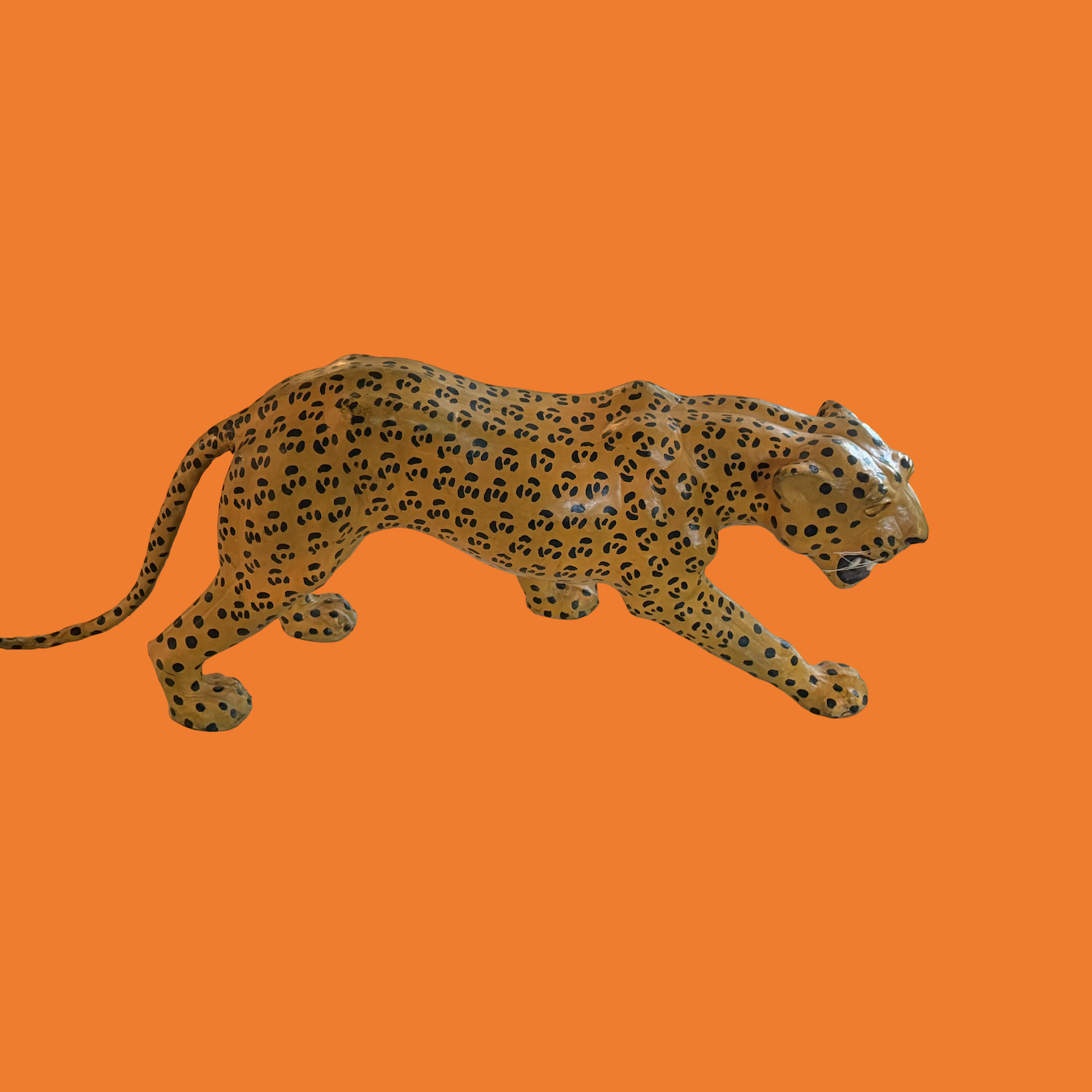 cheetah3.PNG