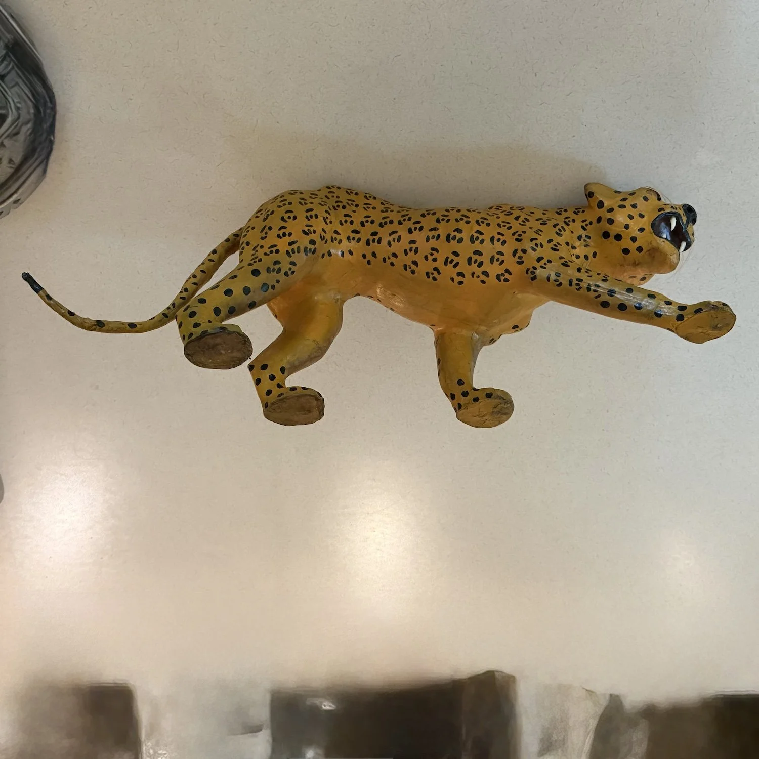 cheetah4.jpeg
