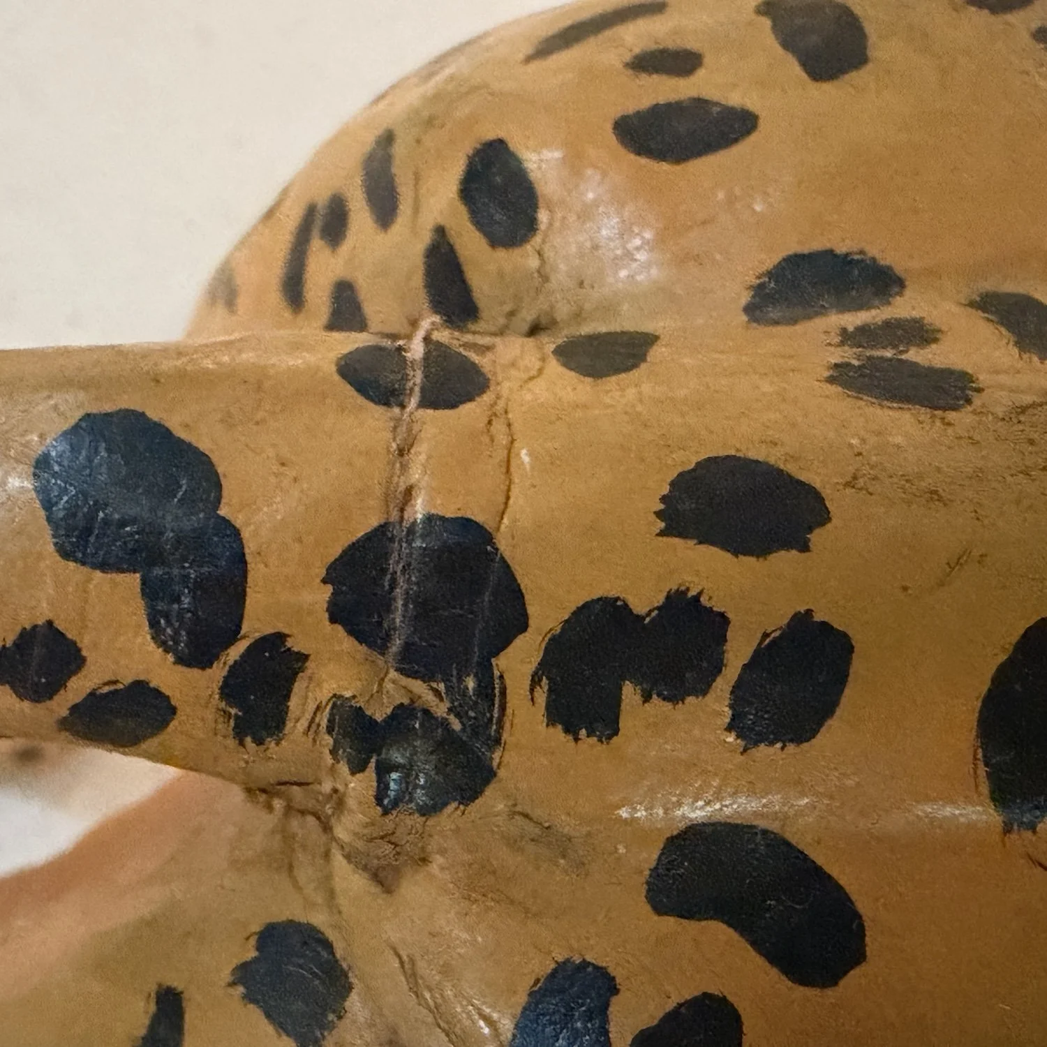 cheetah5.jpeg