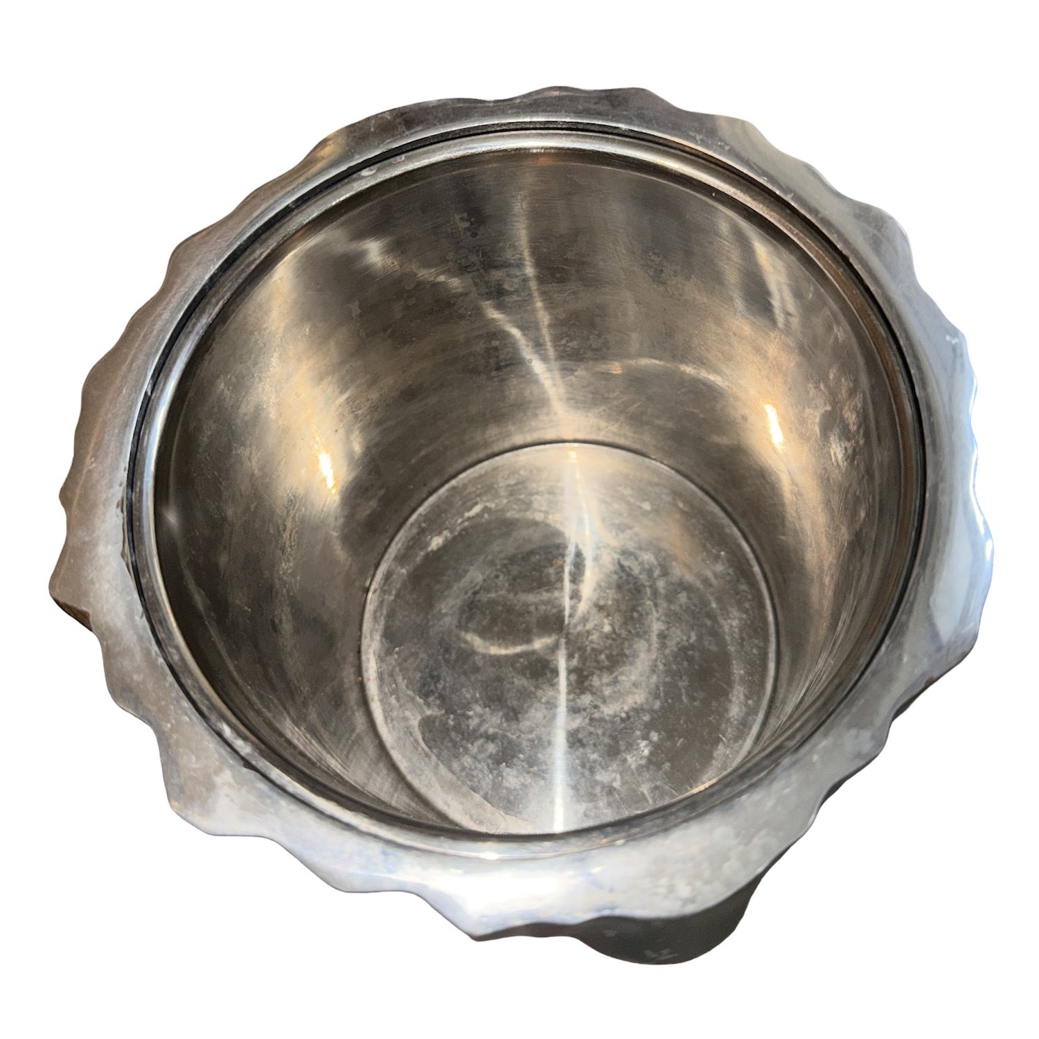 insideicebucket.jpg