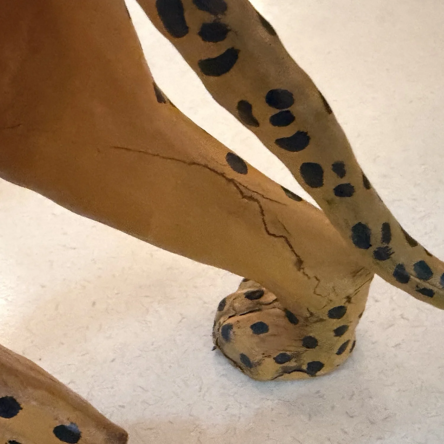 cheetah6.jpeg