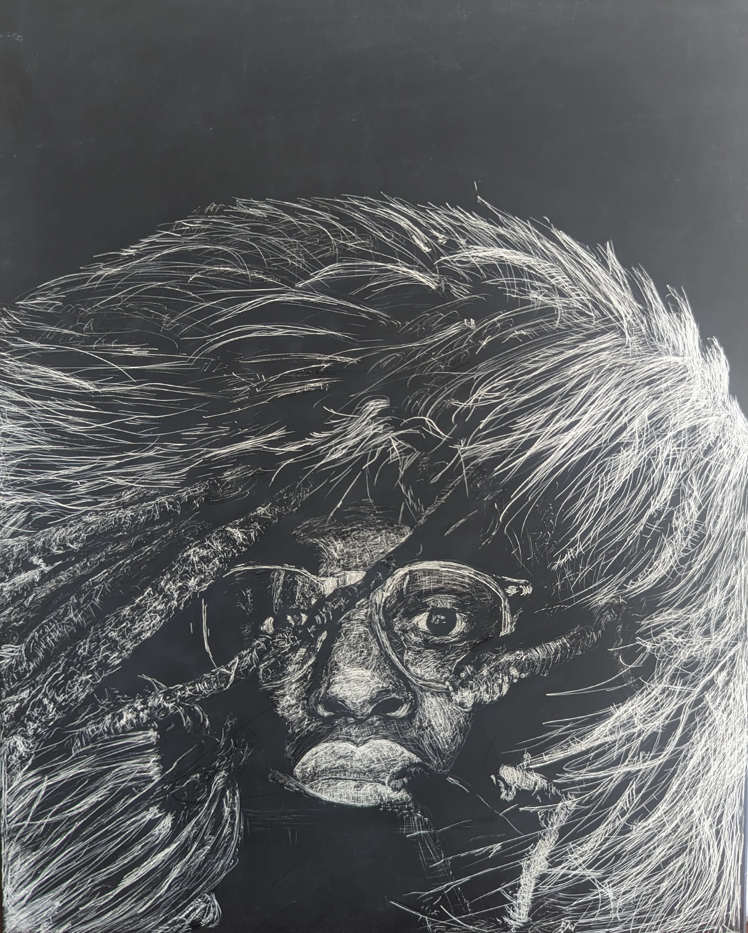 "A Lesson Learnt", 2024, scratchboard, 8 x 10 in.