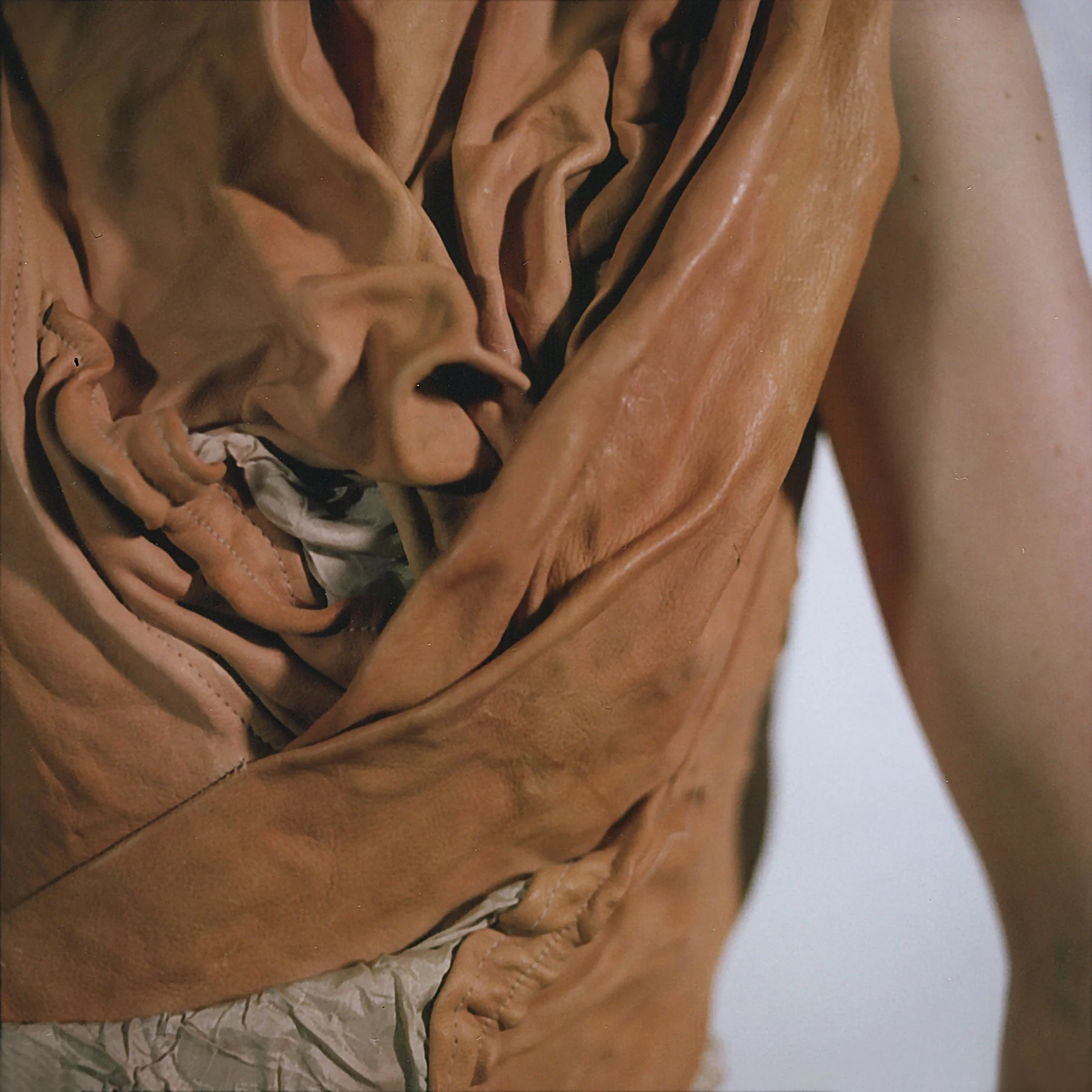 Eleen Halvorsen lb rose close up.jpg