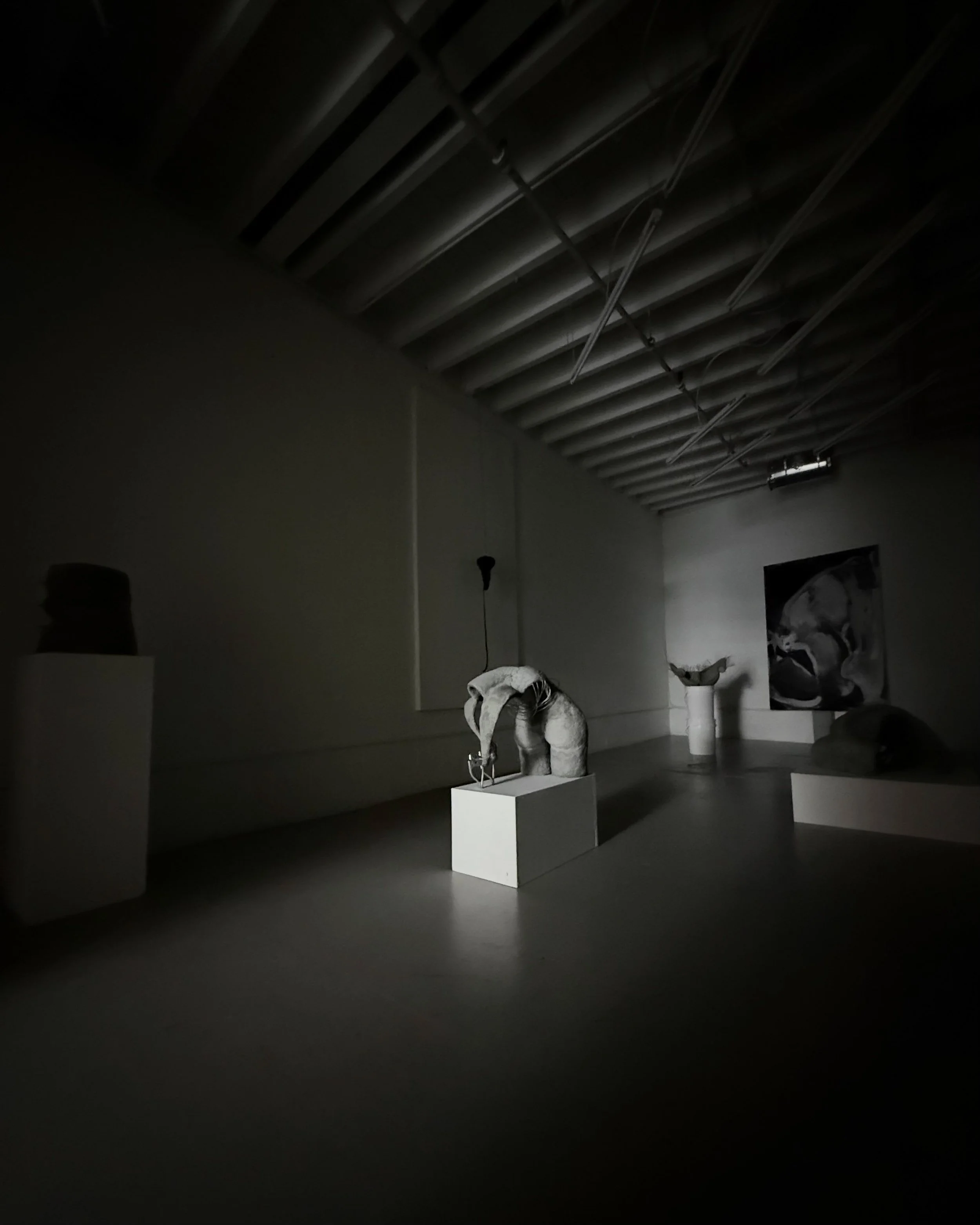 Leave Your Clothes at the Door, installation view, 2025