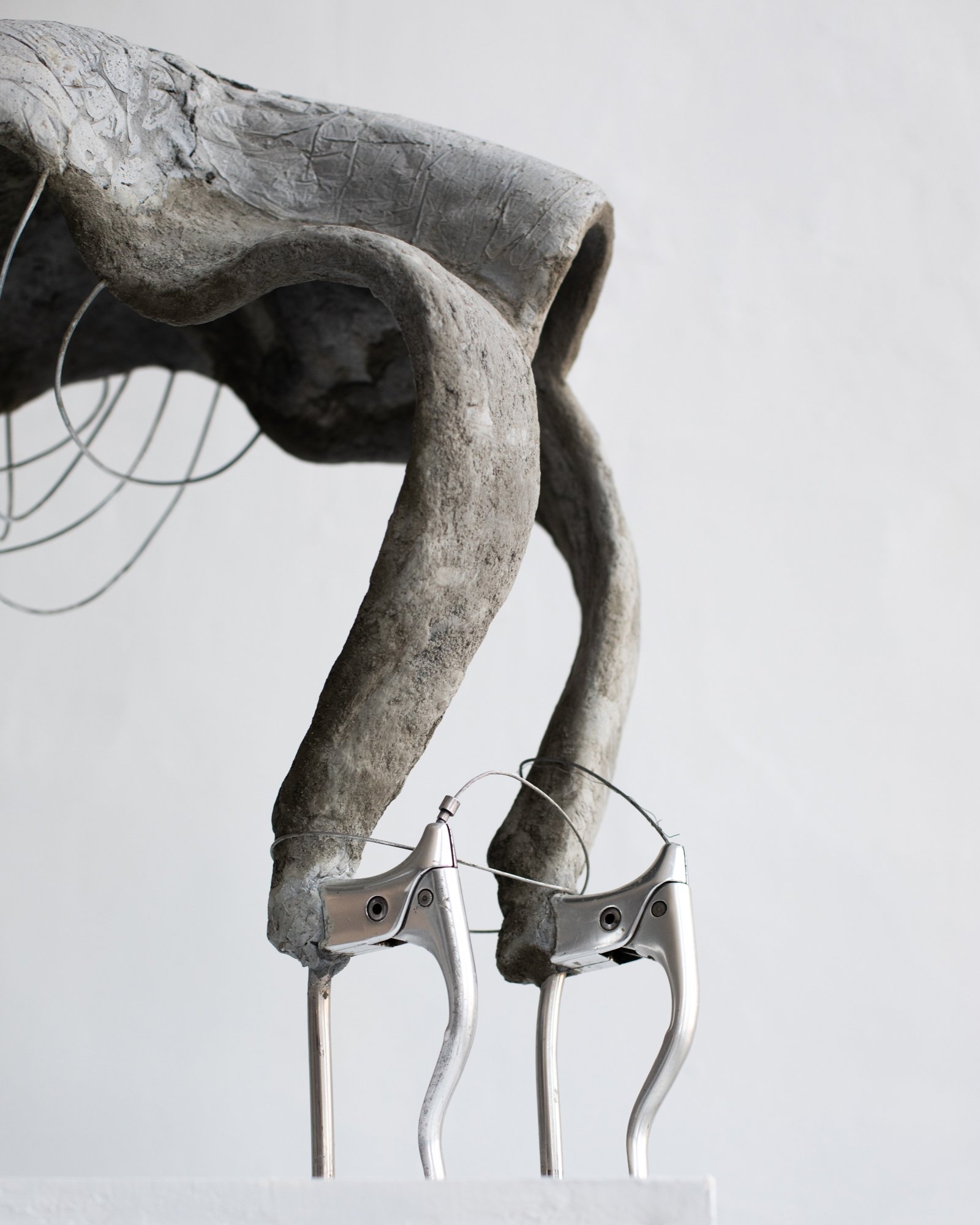 Riding Backward with No Breaks, 2025  detail.
