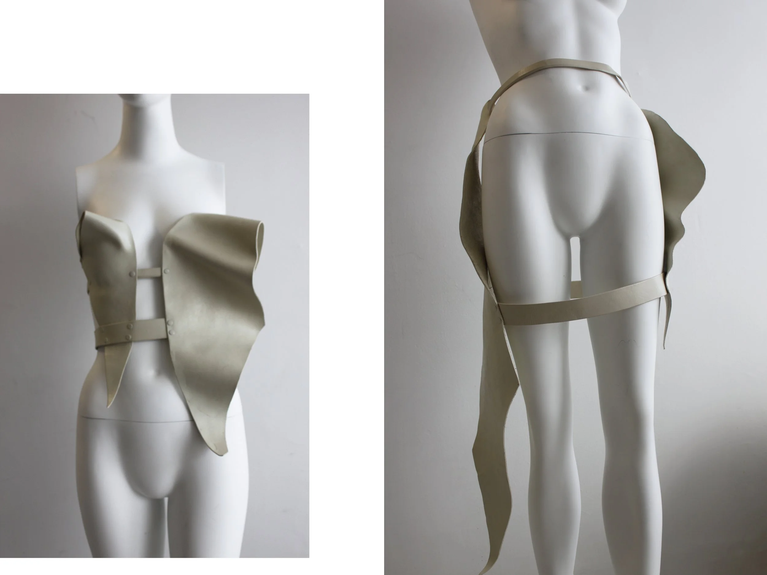 White petal haress dbl.jpg