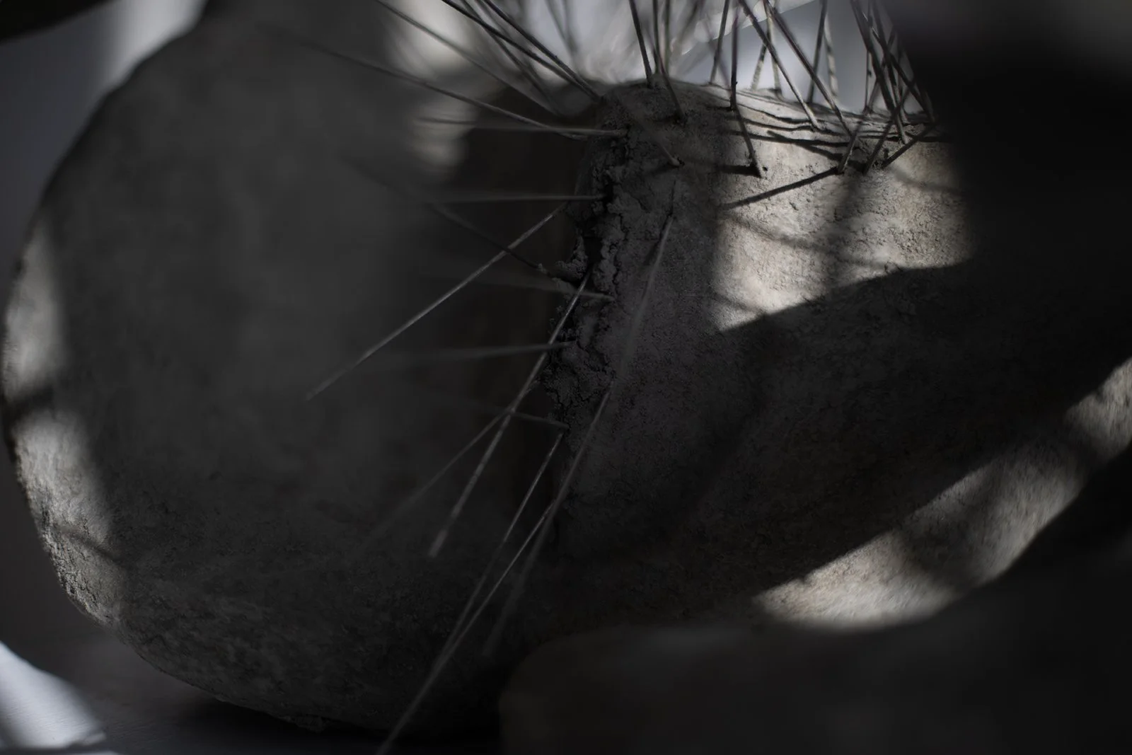 No Trespassing, 2022, detail