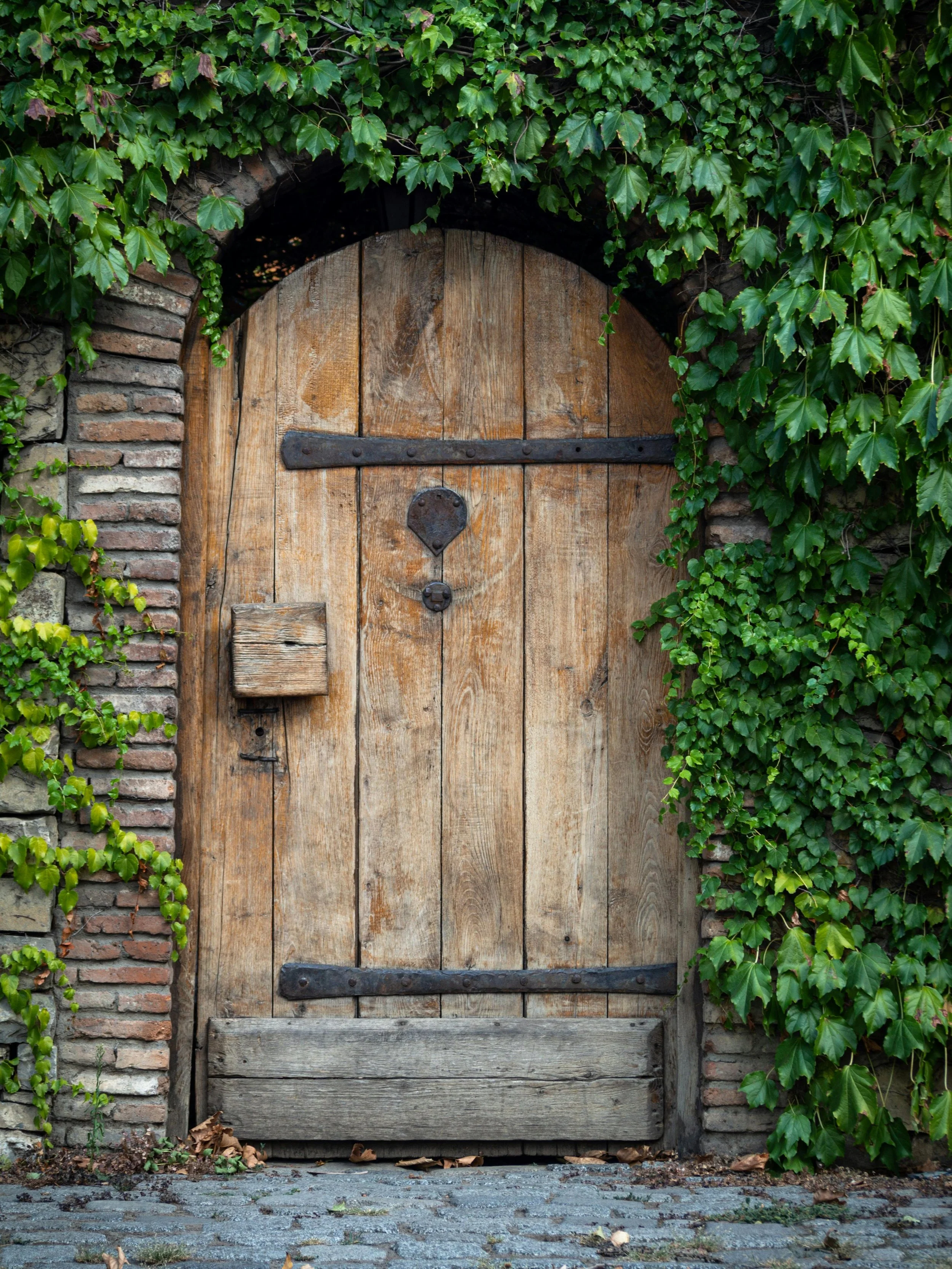 A rustic wooden door surrounded by green ivy and brick wall.