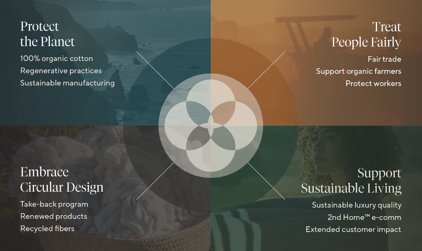 Screen Shot 2022-08-08 at 9.09.54 AM.png