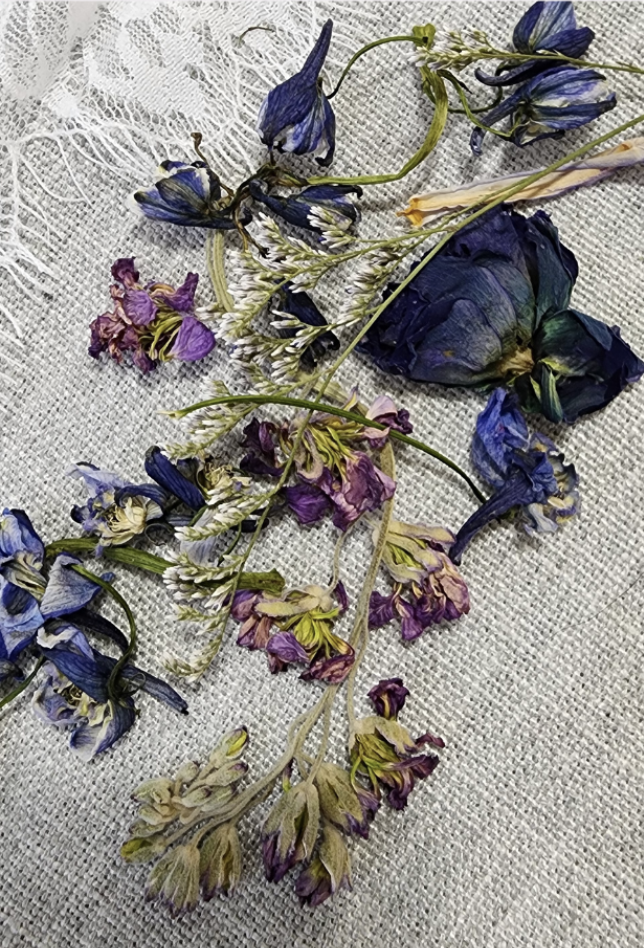 Dried blue and purple flowers with some white and green stems scattered on a textured light-colored fabric surface.