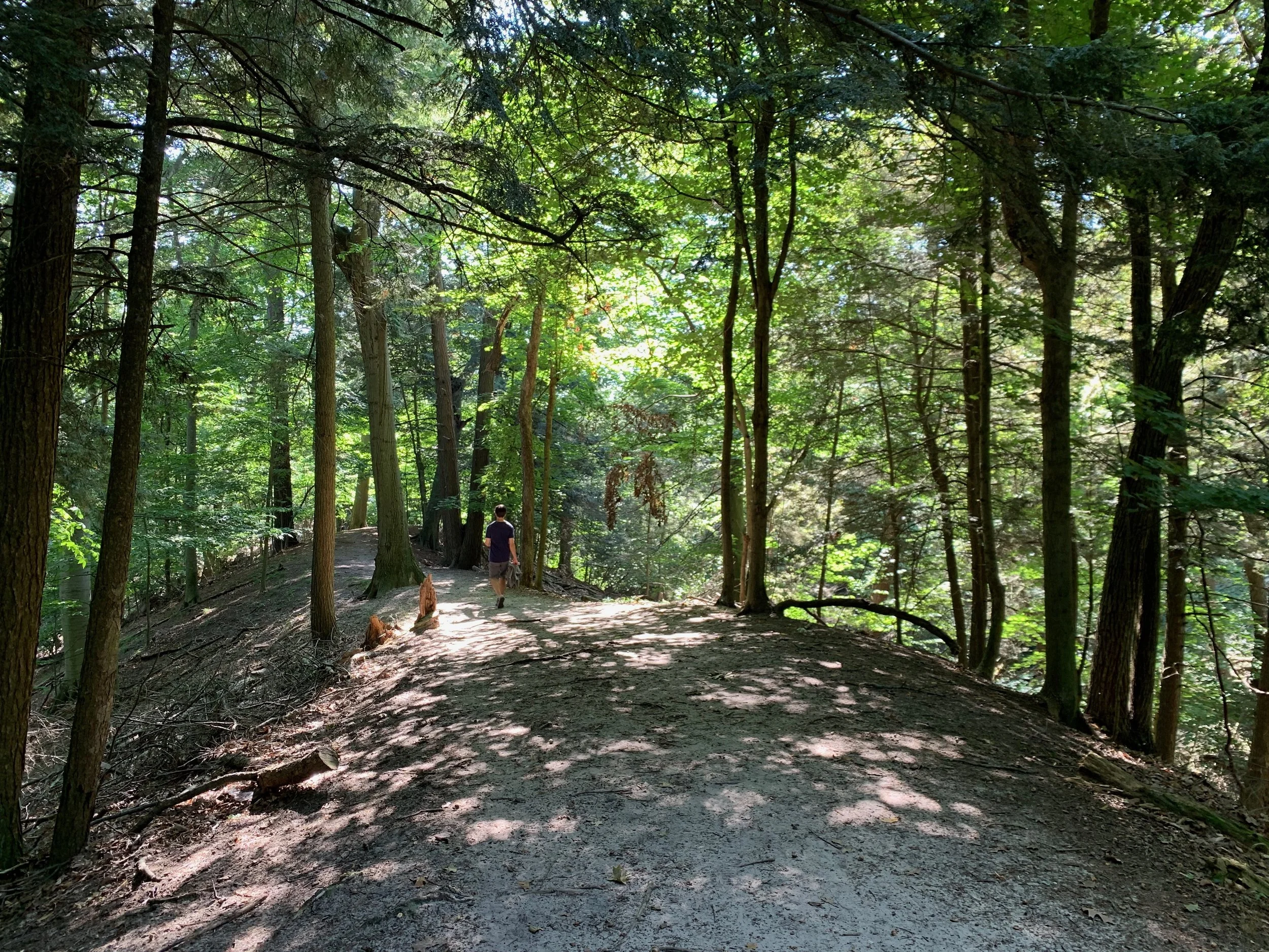 Stress Reduction Theory