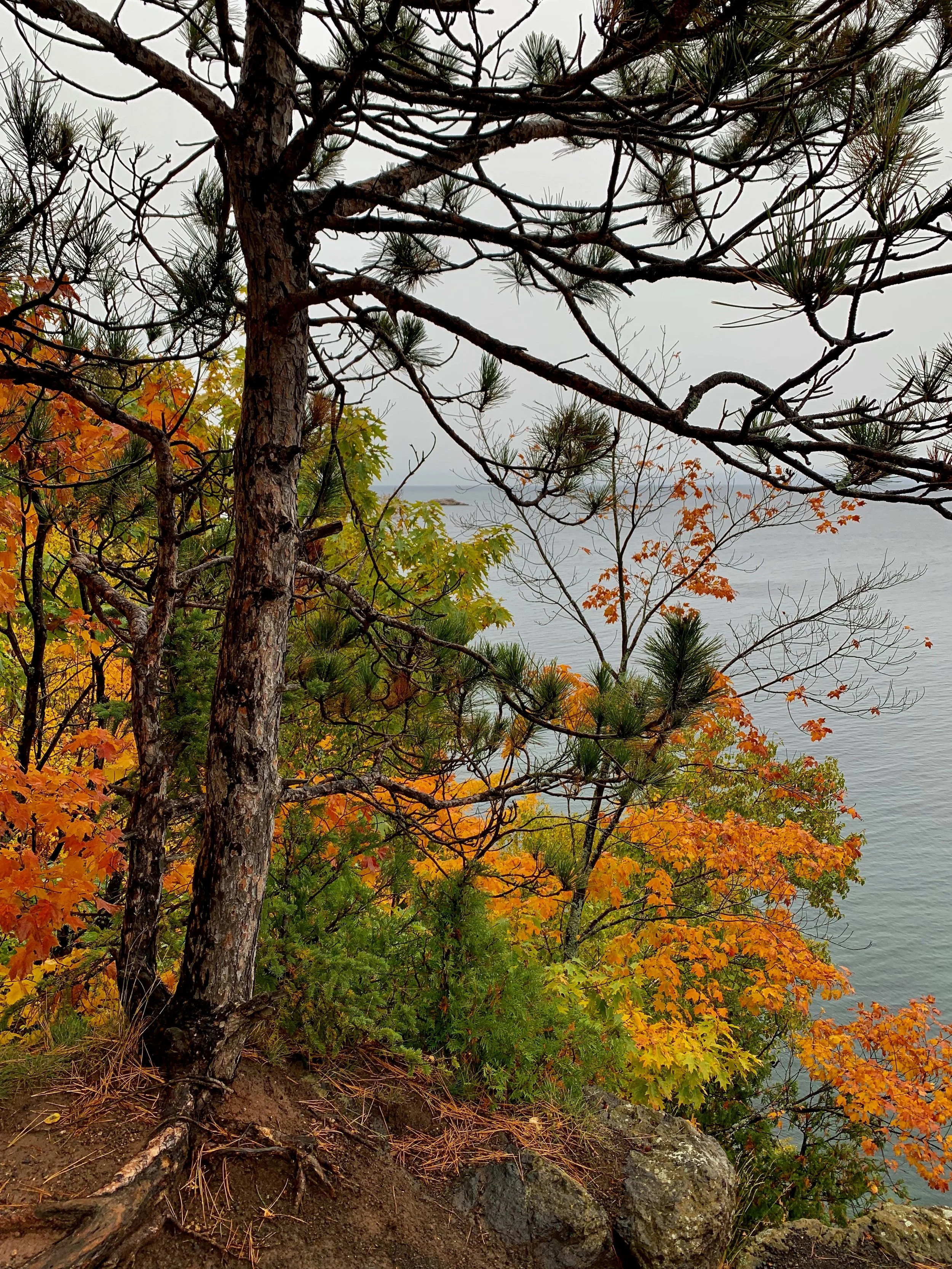 Fall trees overlooking Lake Huron, MI