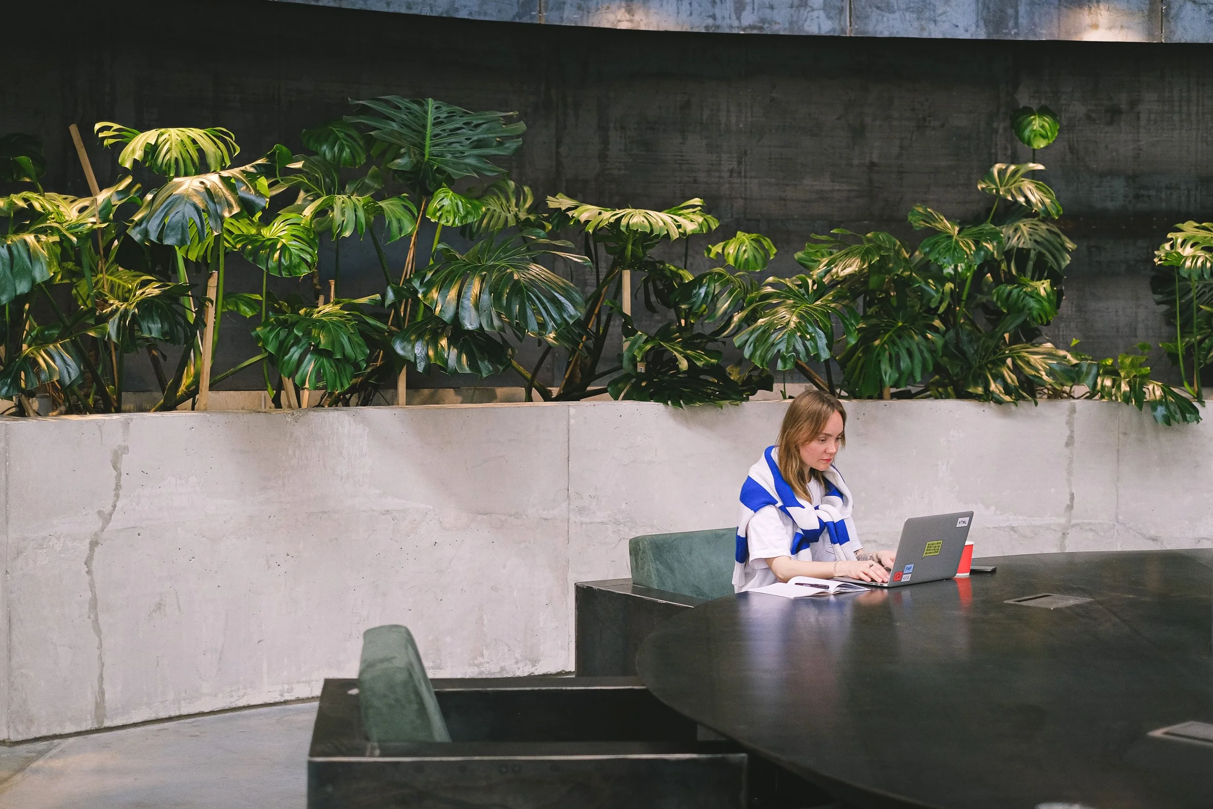 indoor plants with person working