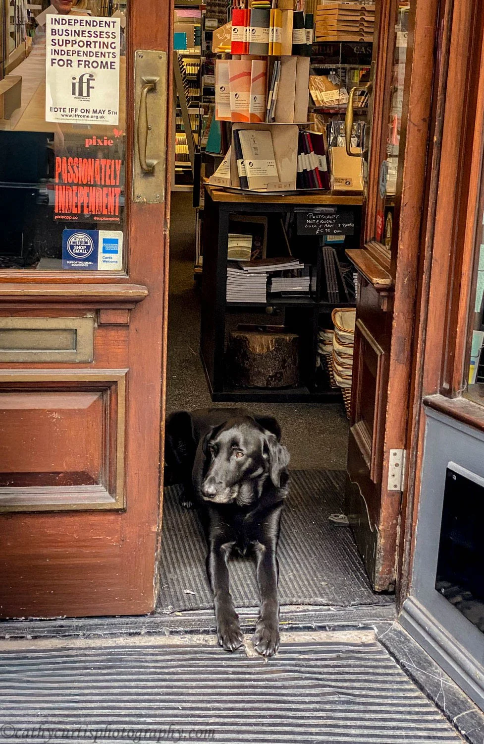 Black Lab Shop resized.jpg
