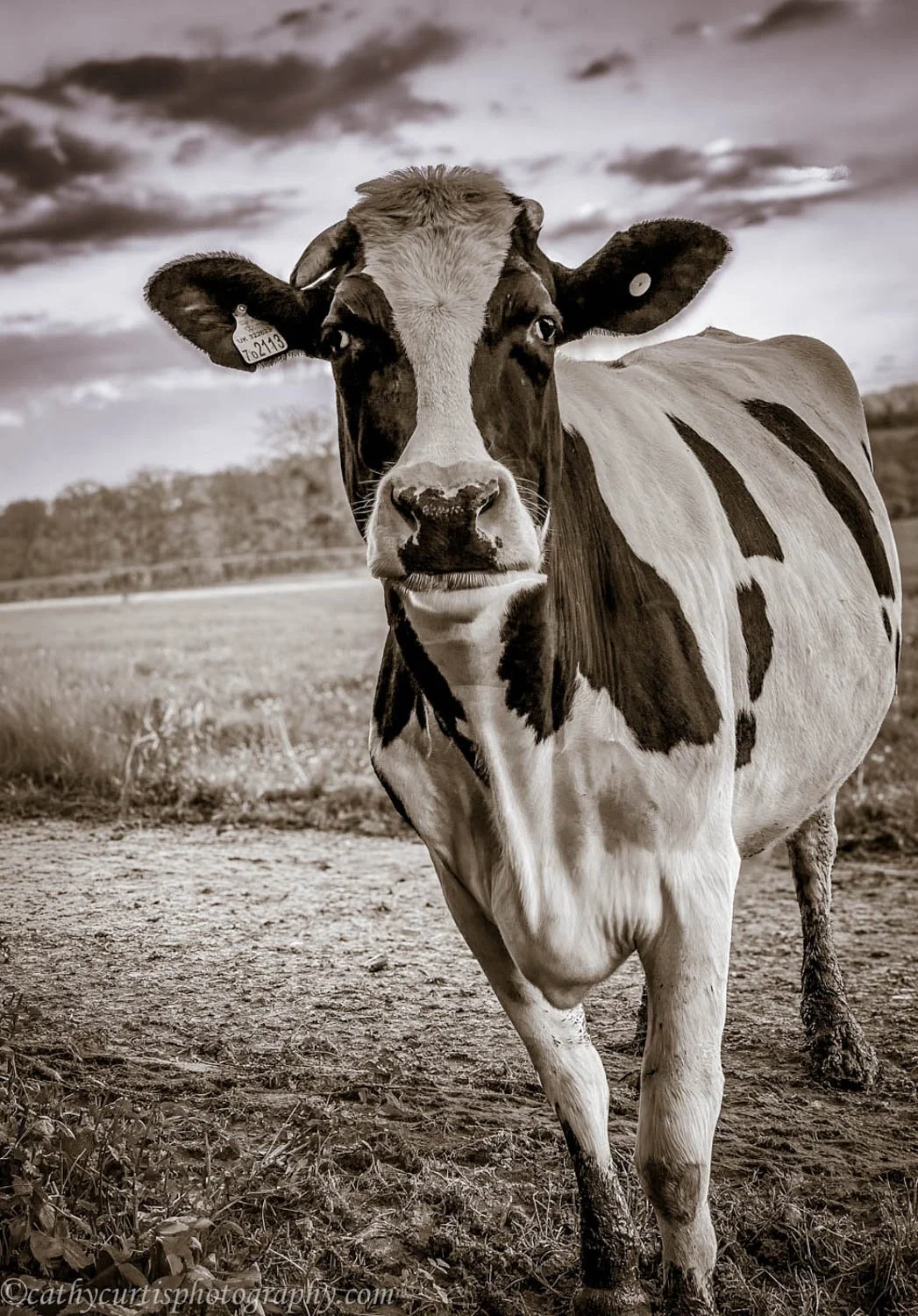 Genevieve resized.jpg