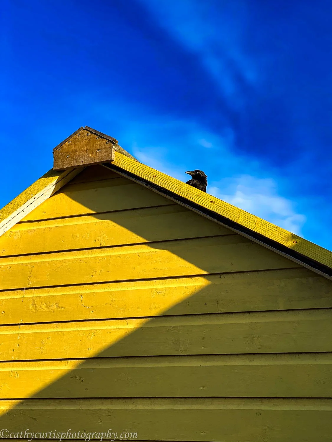 Crow yellow bldg.jpg