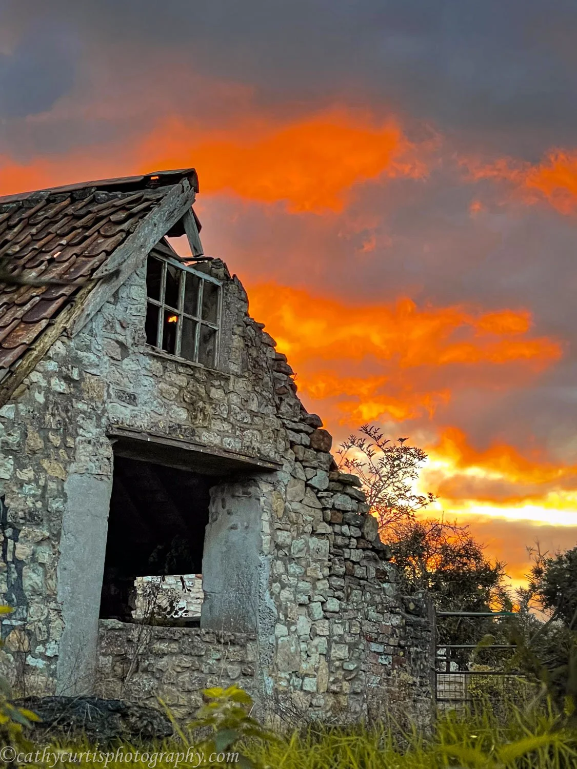 Barn Chew Sunset.jpg