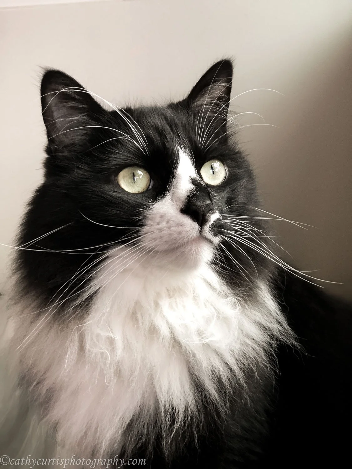 Izzy Glamour Shot.jpg