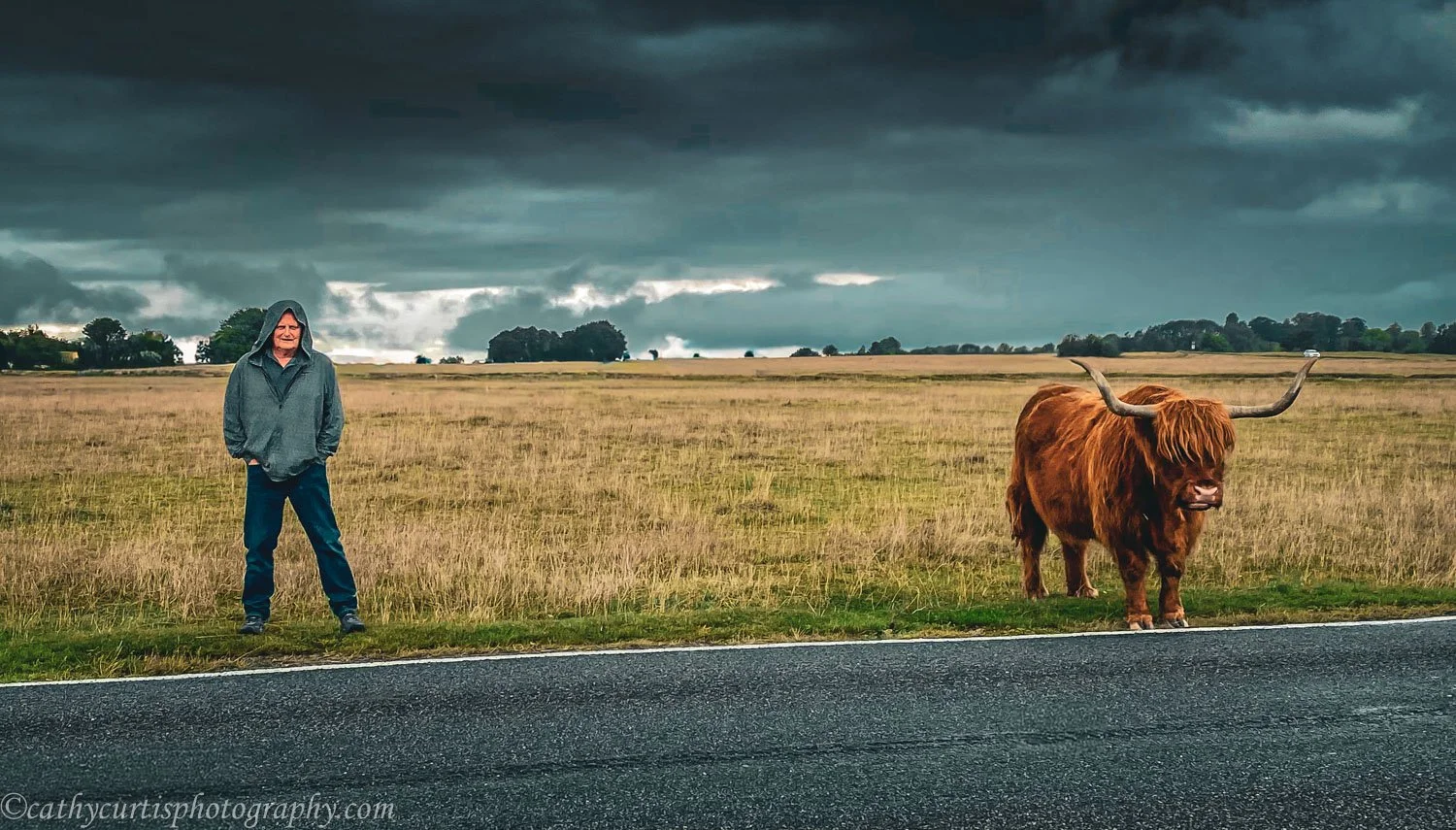 Mark Highland Cow.jpg