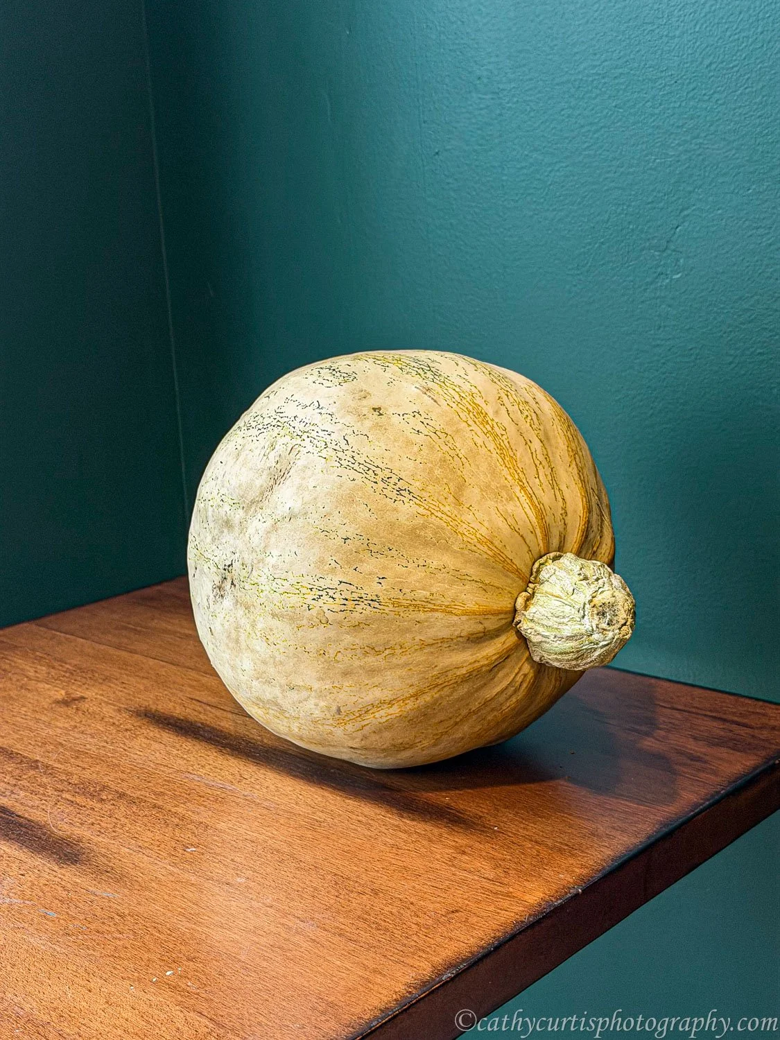Pumpkin Still Art.jpg