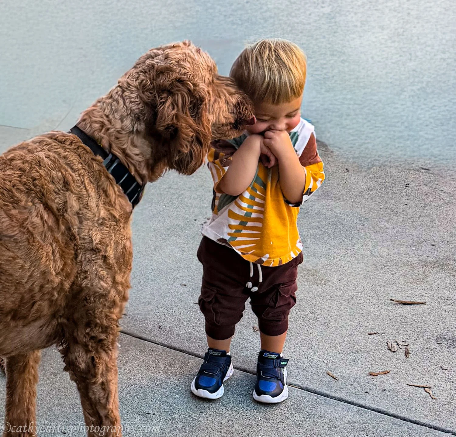 Dog kissing boy.jpg