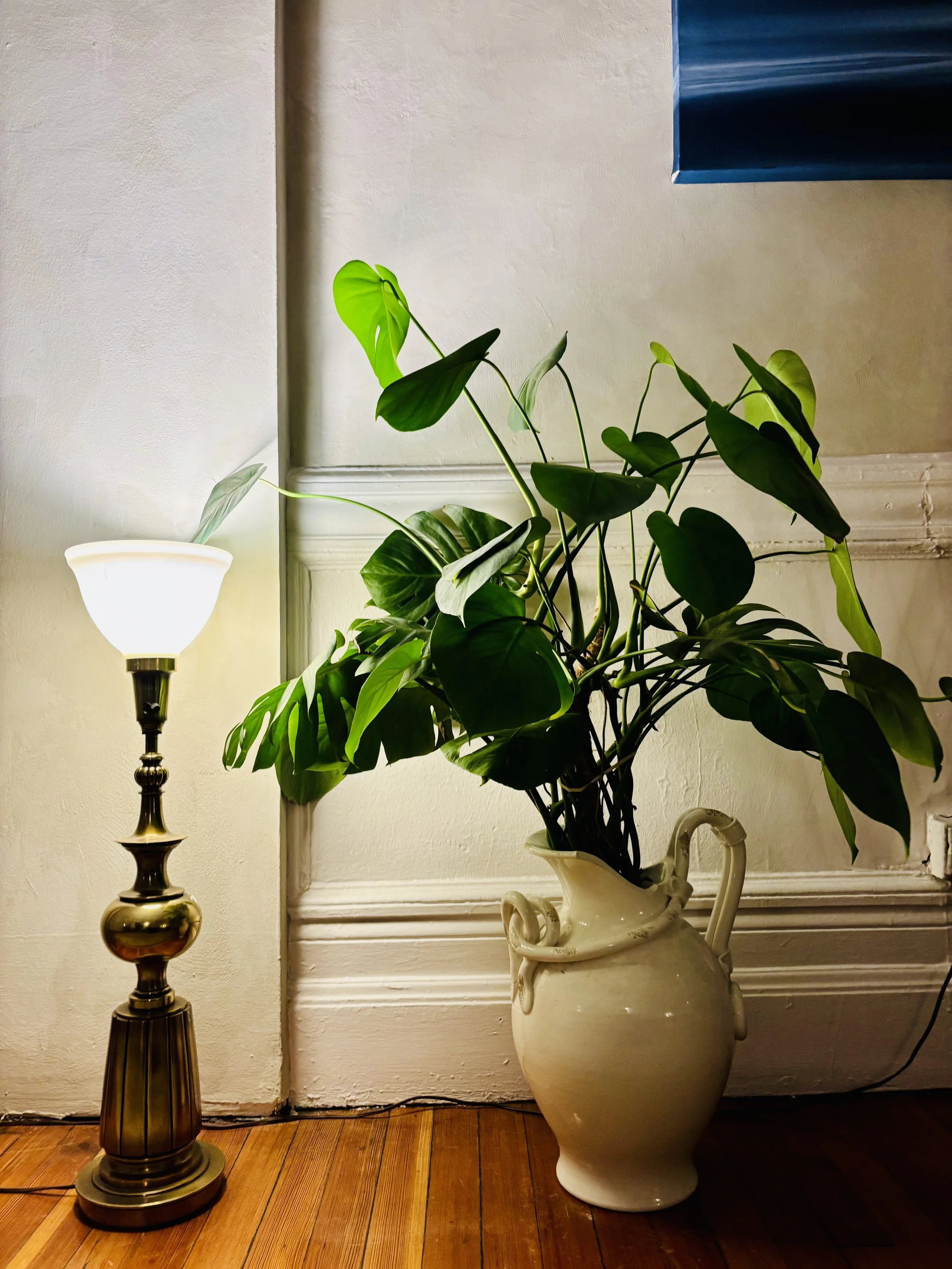 A potted green plant with large leaves on a wooden floor next to a tall, vintage-style table lamp with a white shade and brass base, against a beige wall with white trim.