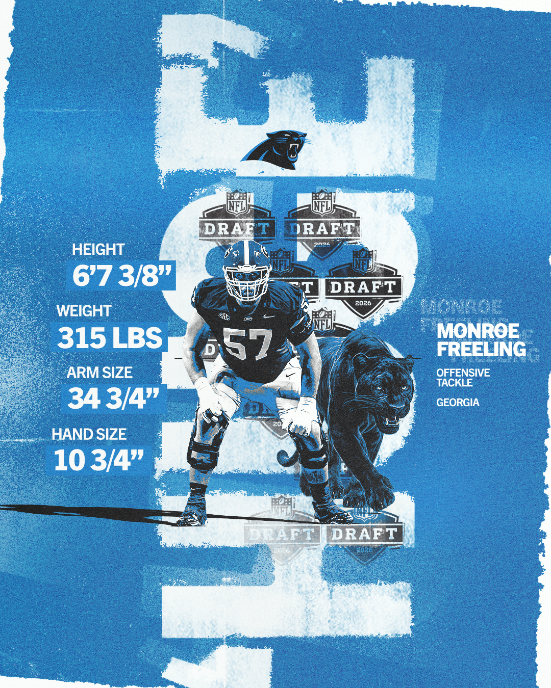 MonroeFreeling_SizeGraphic.png