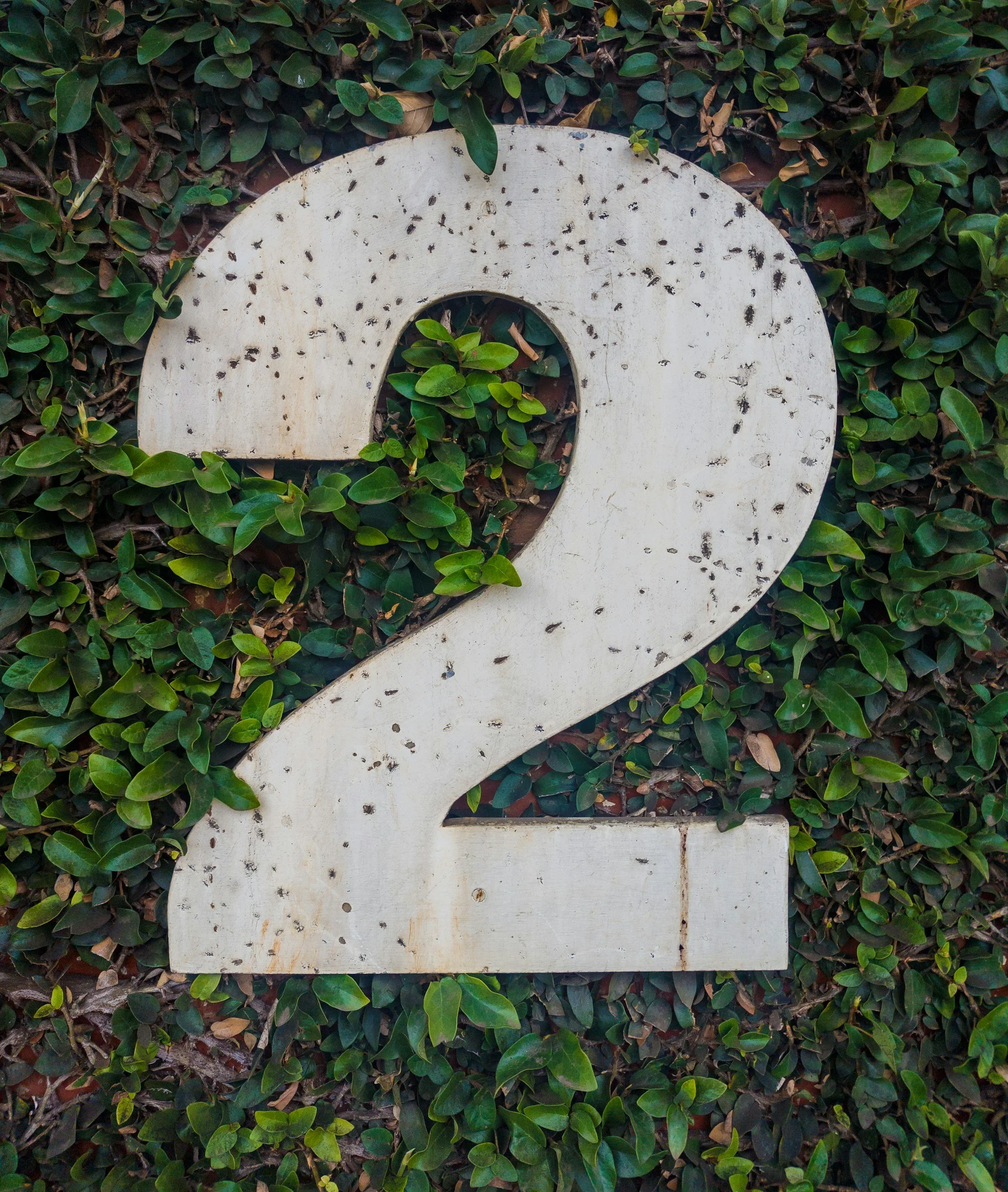 Step 2: Compare Final Expense life insurance quotes from multiple carriers.