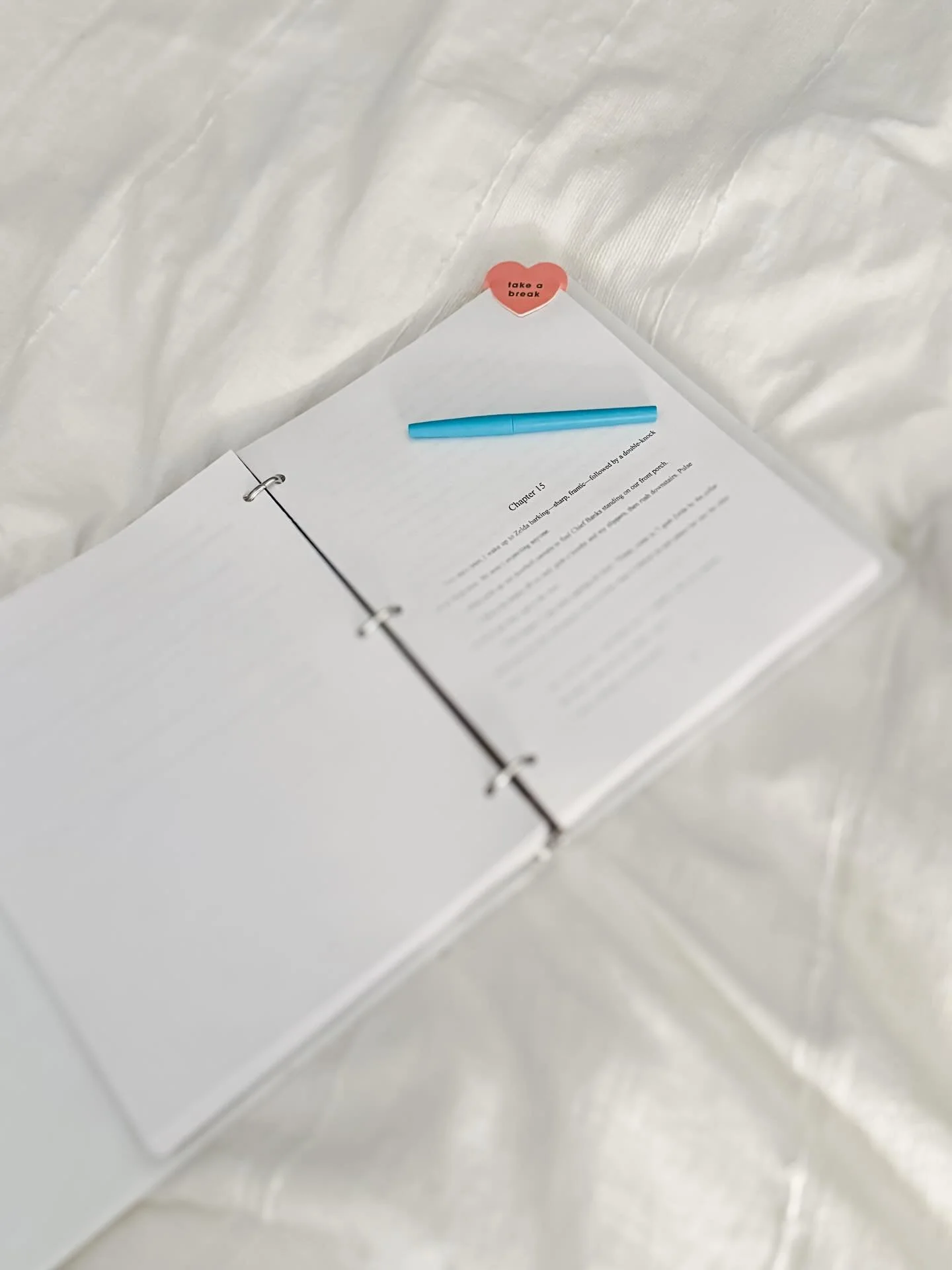 Snow day editing ✍🏽 It&rsquo;s so hard to post content without giving away pieces of the story. Sorry for the blurred photo, but enjoy the few words in focus 🤍