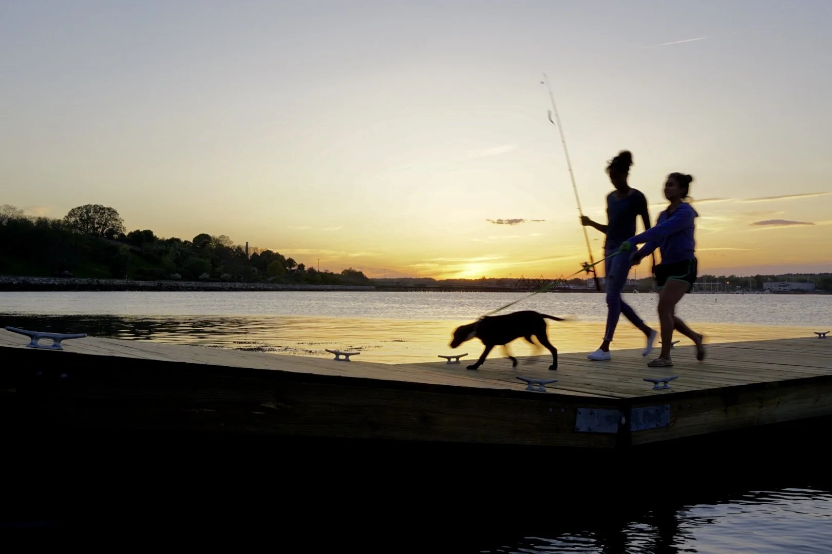 Learn. Shoot. Keep What Matters. Repeat.