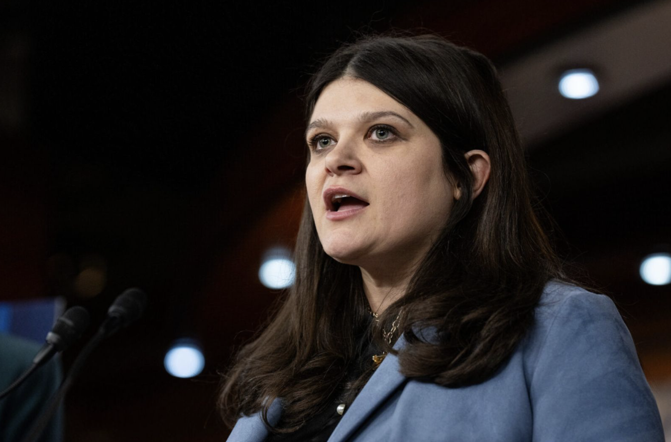 Representative Haley Stevens Democrat Michigan Breakfast Nov 14 at 8 am