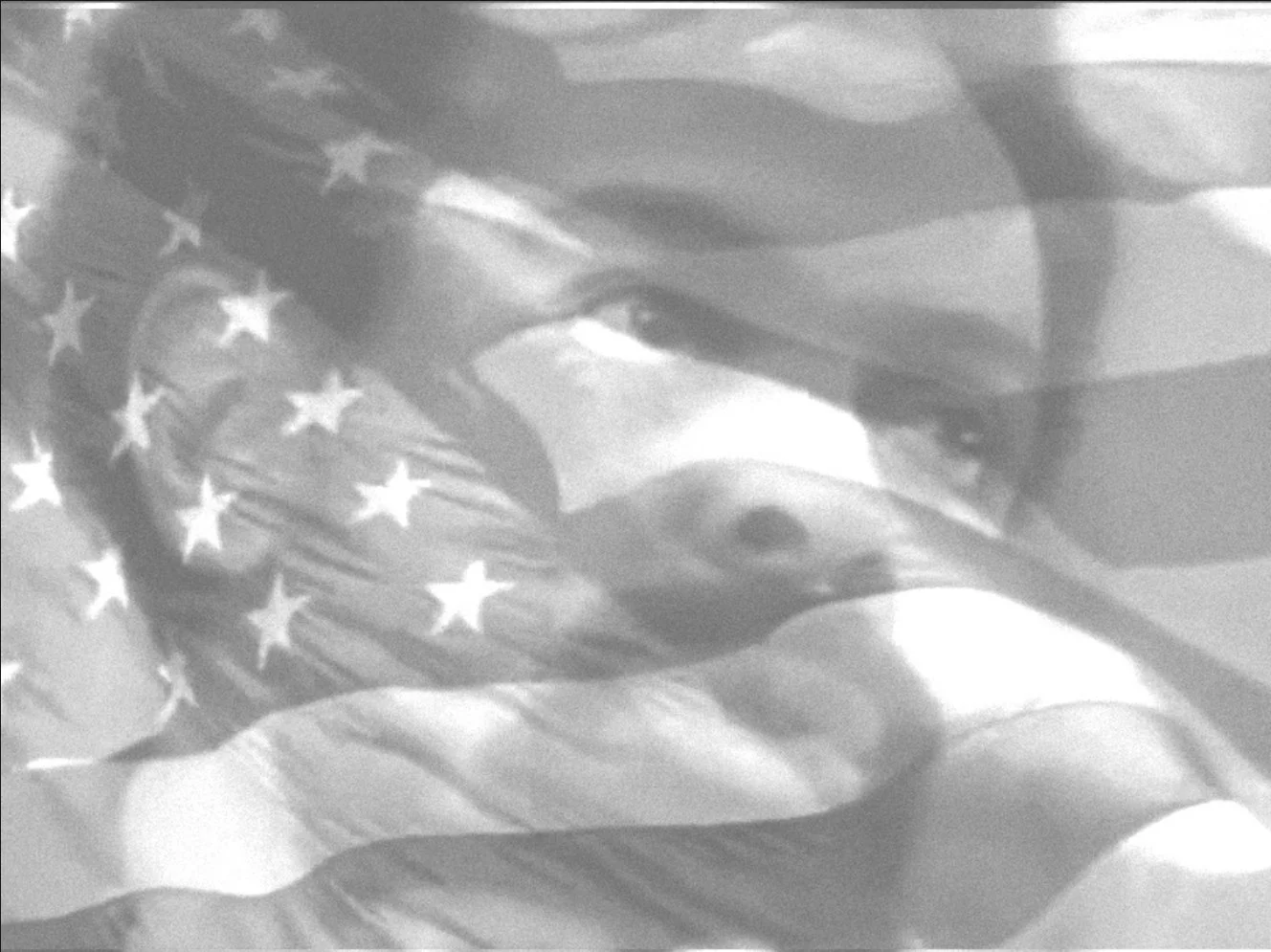 A person holding an American flag in their hand.