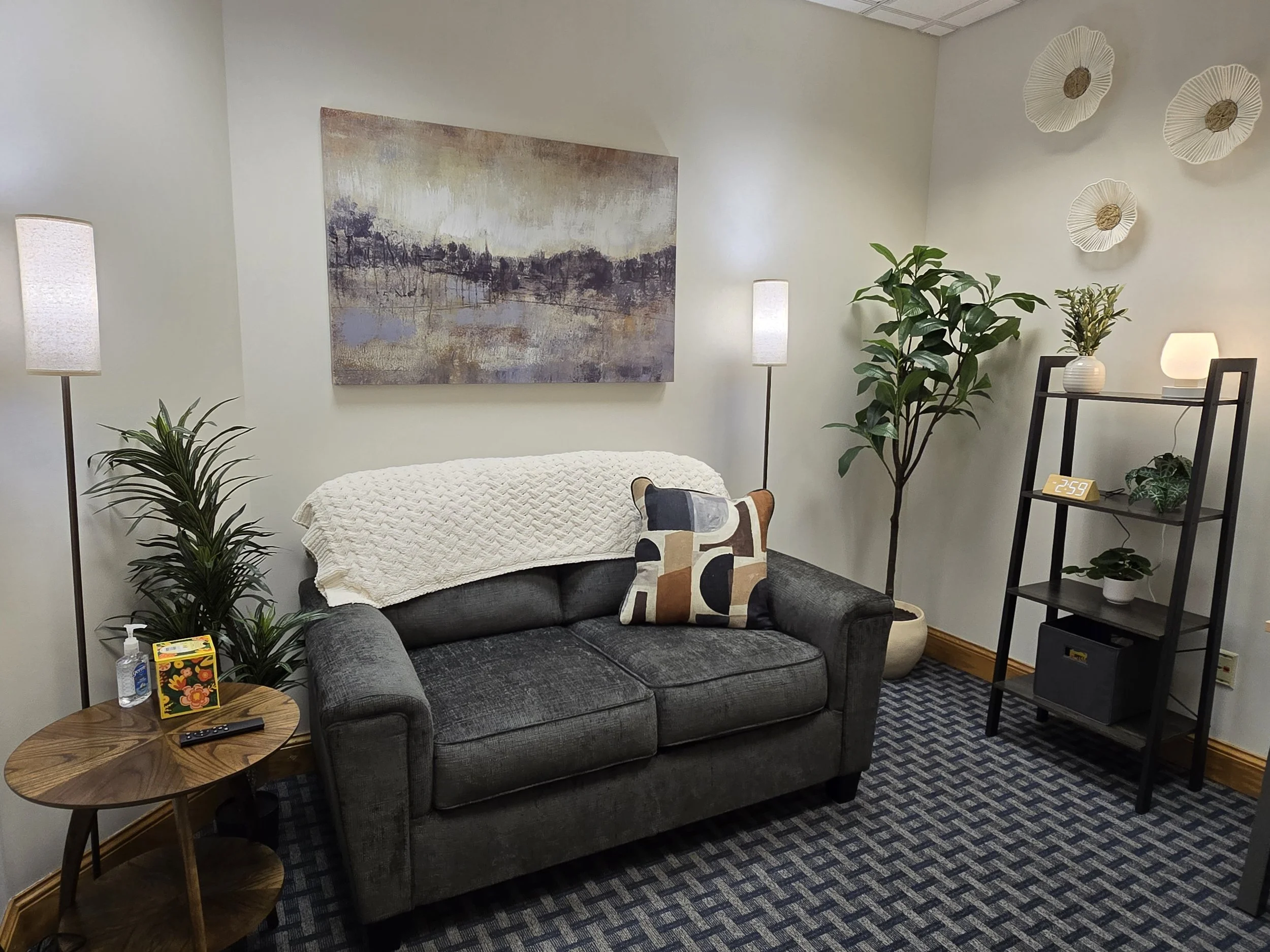 Cozy living room with a dark grey couch, decorative cushions, a side table with hand sanitizer and a remote, a tall potted plant, wall art, and a black shelf with plants, a lamp, and a digital clock. The room has soft lighting and patterned carpet.