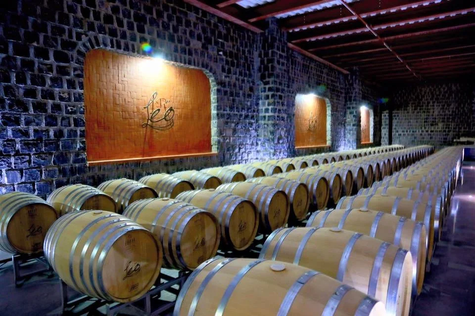 Coahuila: historia, haciendas y vino