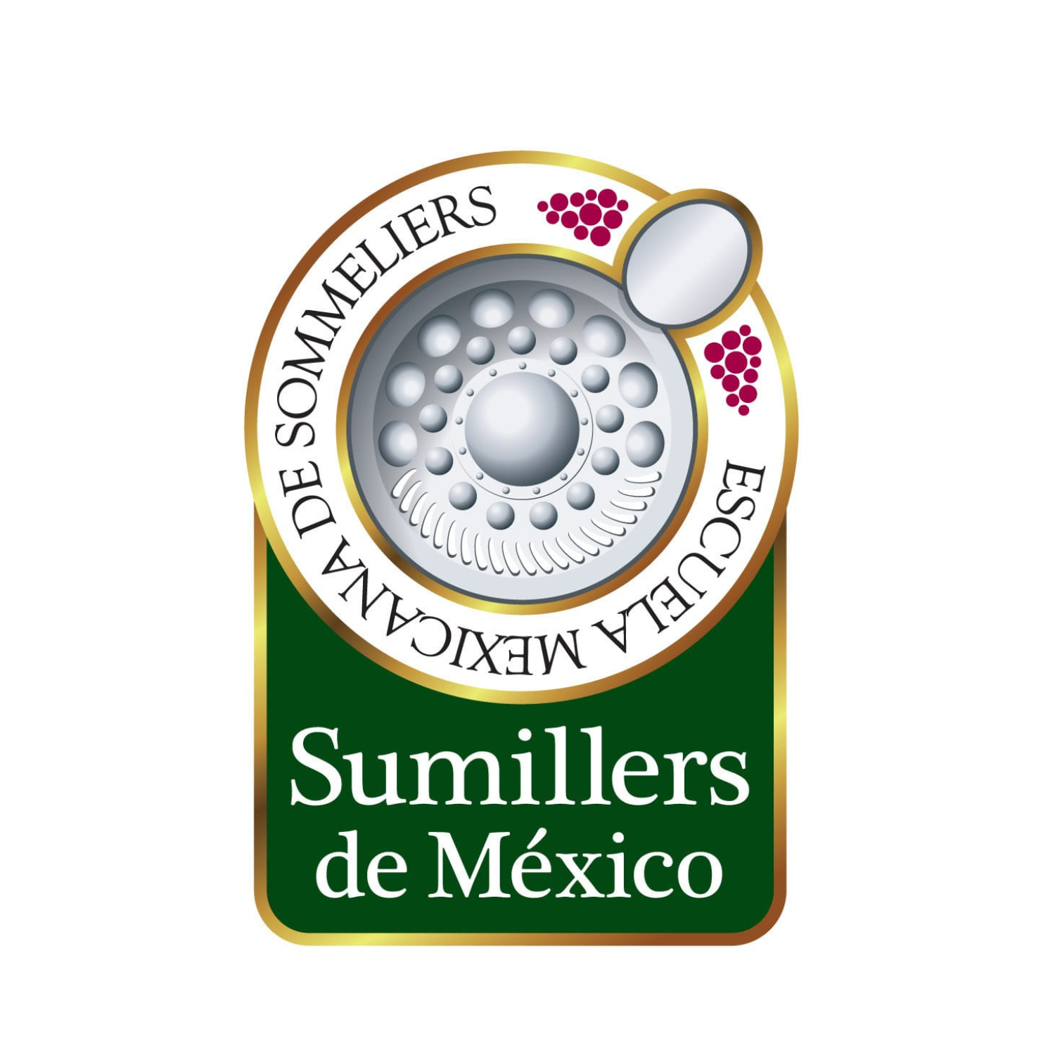 Curso: Actualidad del Vino Mexicano